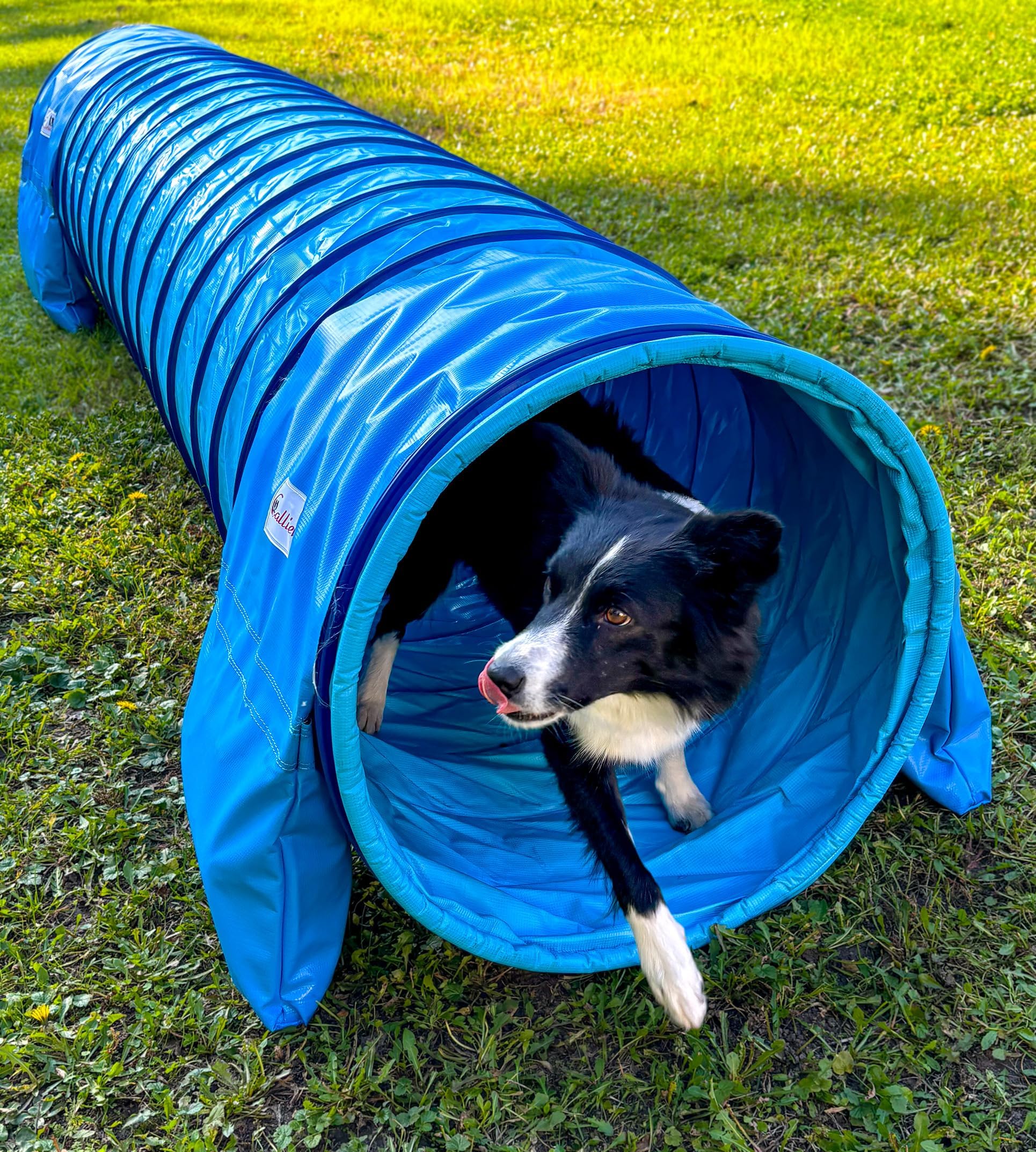 Callieway® Dog Agility Tunnel Professional Dog Tunnel Agility Device (Support Sandbags Already Included) (Sky Blue/Cyan, 3 m)