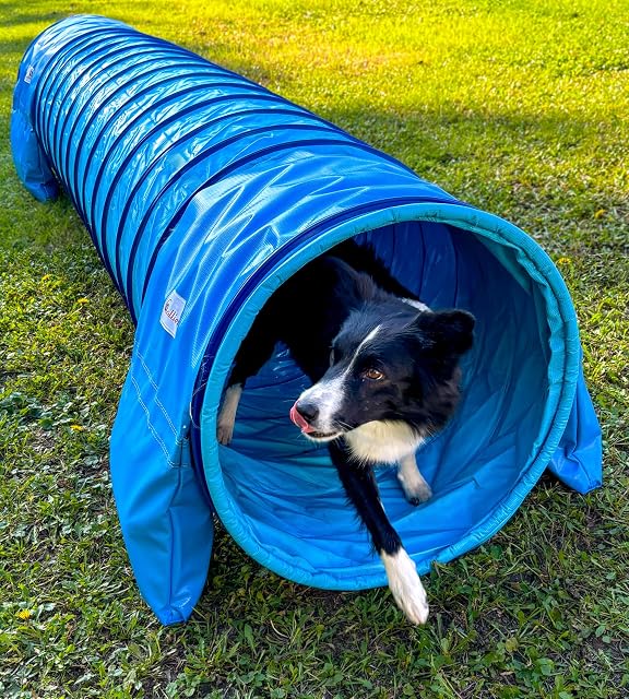 Callieway® Dog Agility Tunnel - Túnel de agilidad para perros (incluye sacos de arena incluidos), color azul…