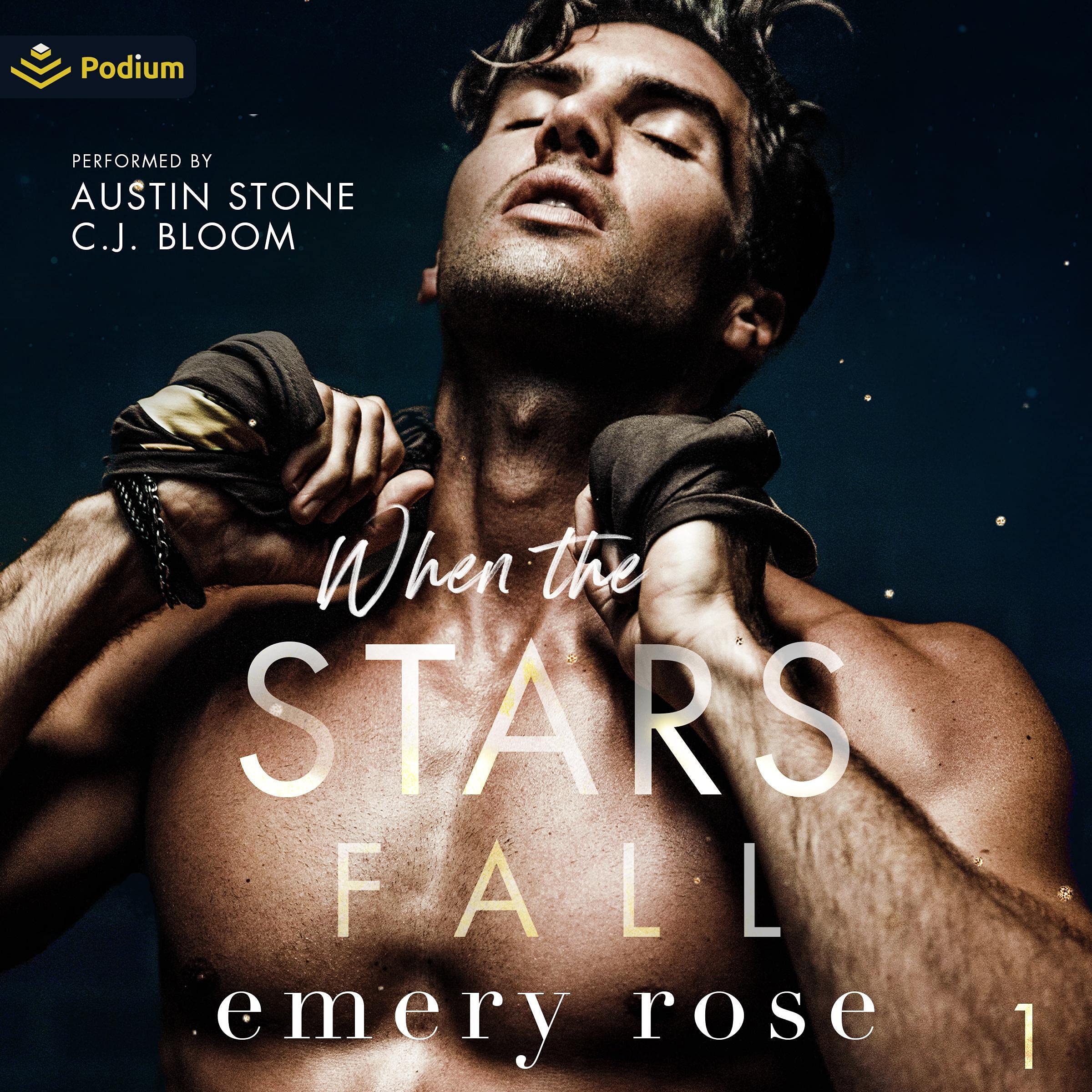Cover art for When the Stars Fall