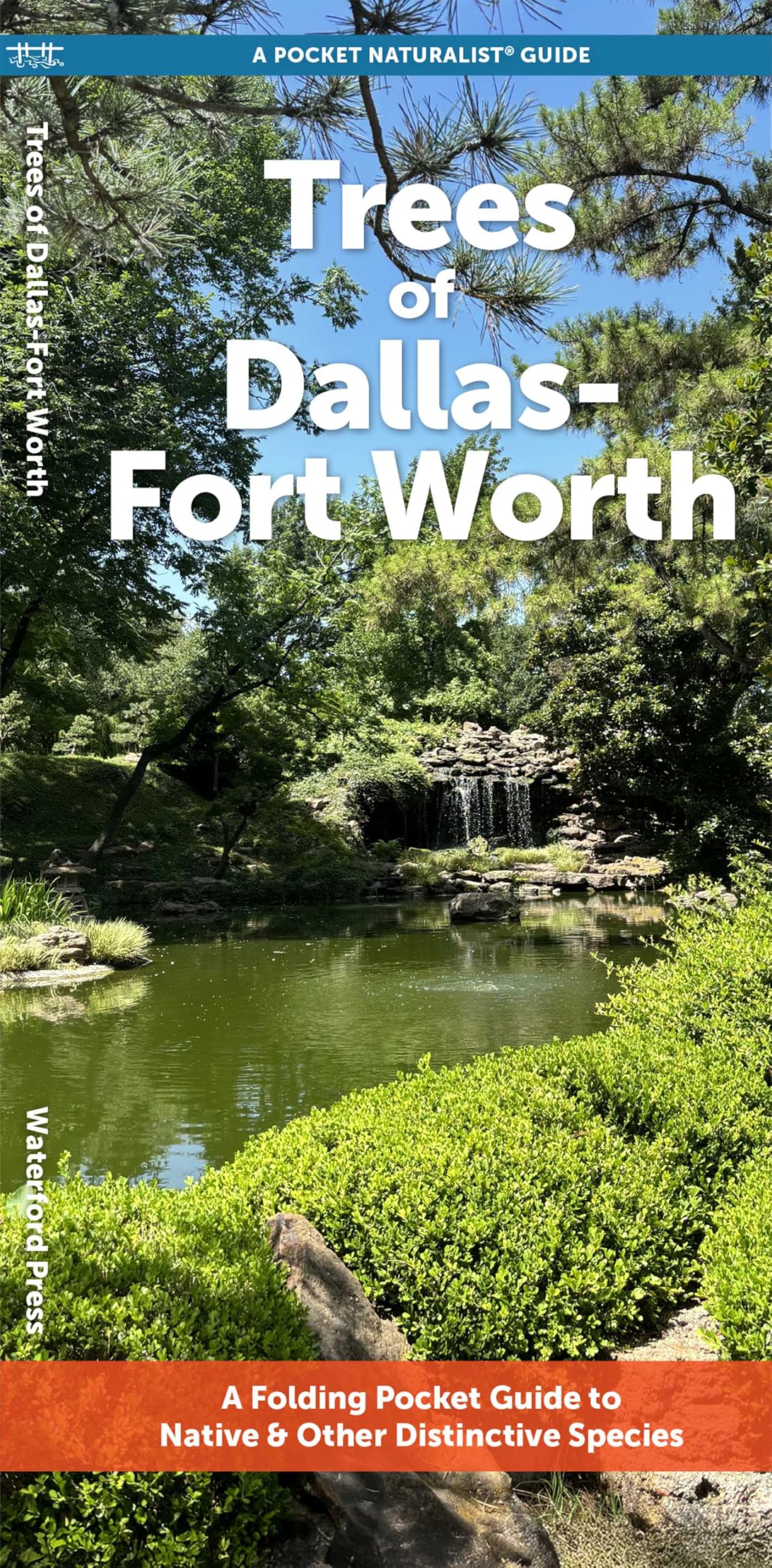 Trees of Dallas-Fort Worth: A Folding Pocket Guide to Native & Other Distinctive Species (Nature Observation North America)