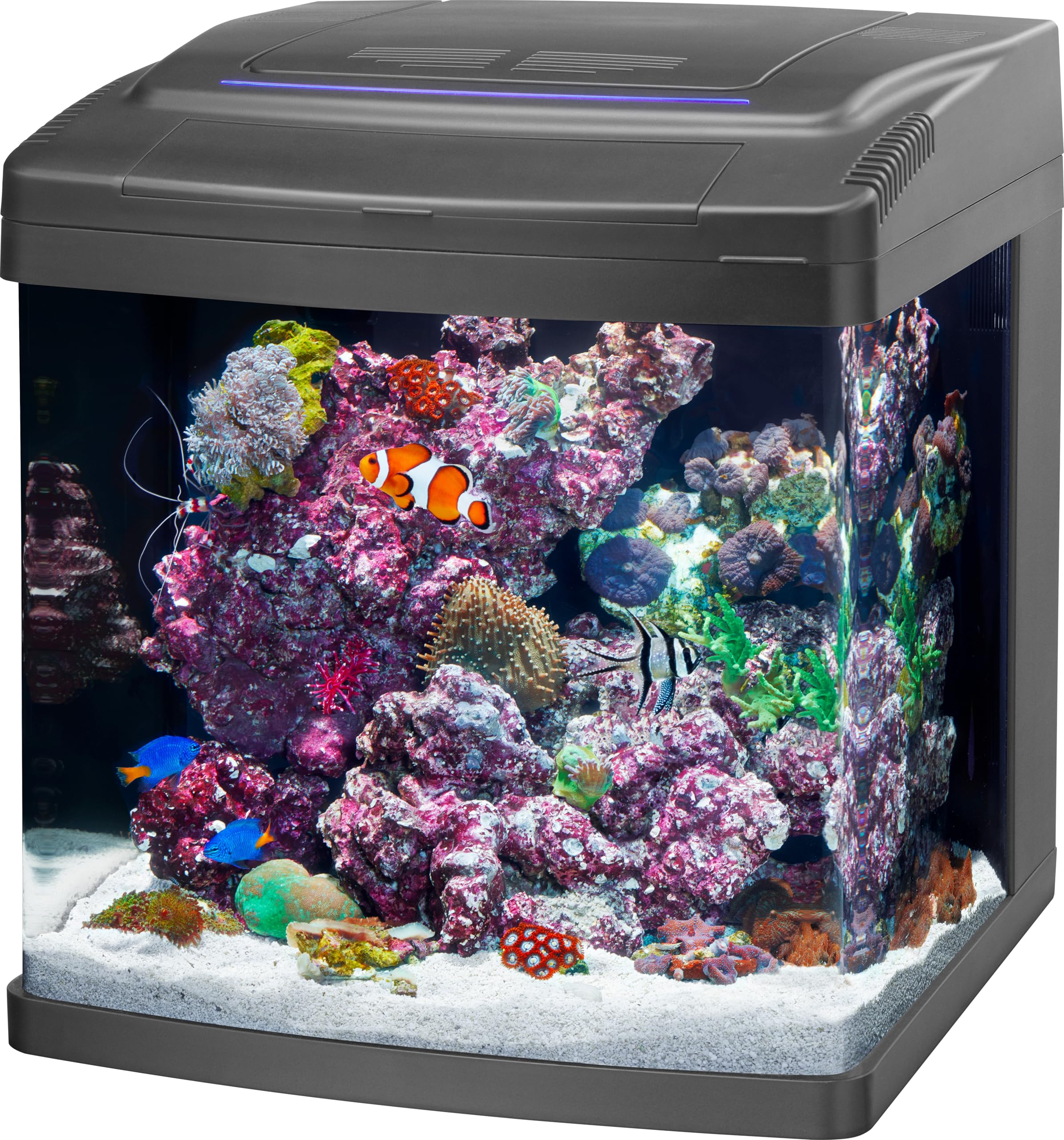 Coralife SMART BioCube Jr