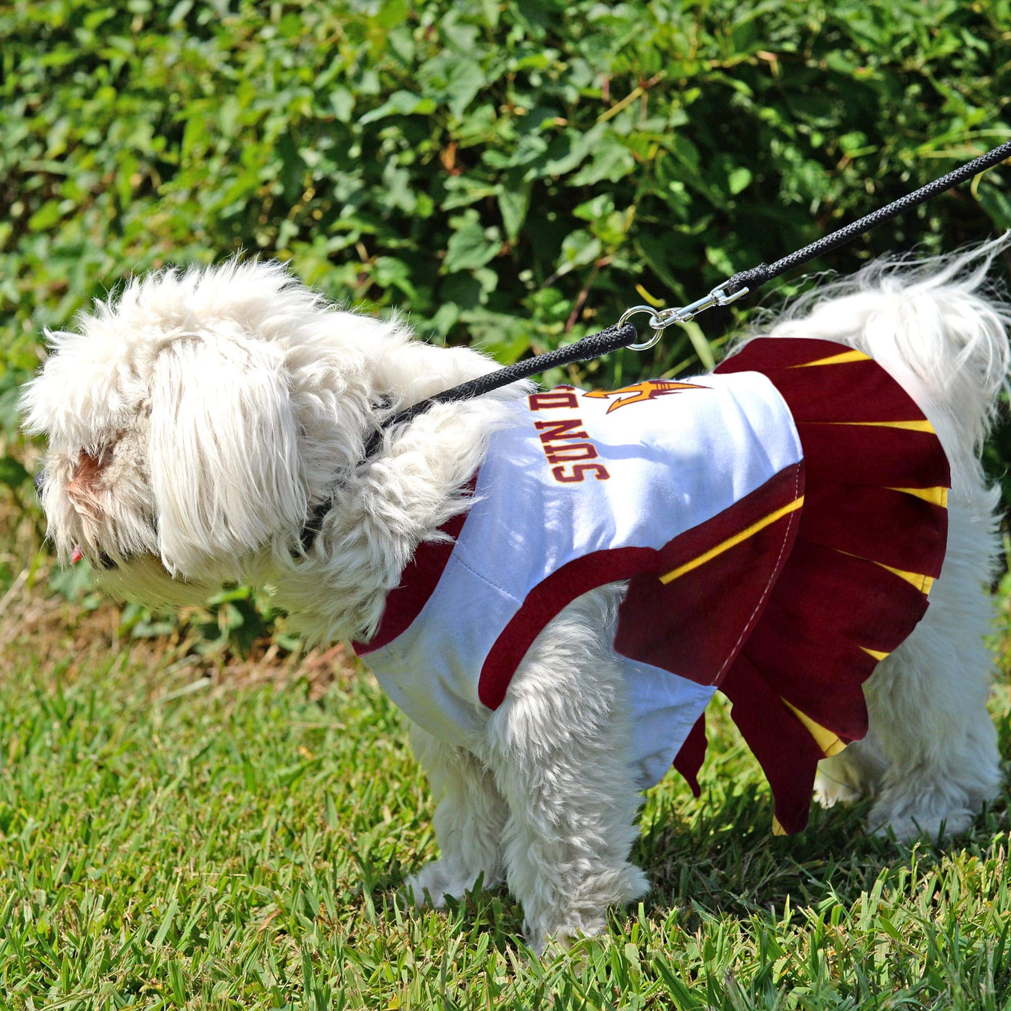 Nfl Cheerleader Patriots Dog Costume Dog Dallas Cowboys