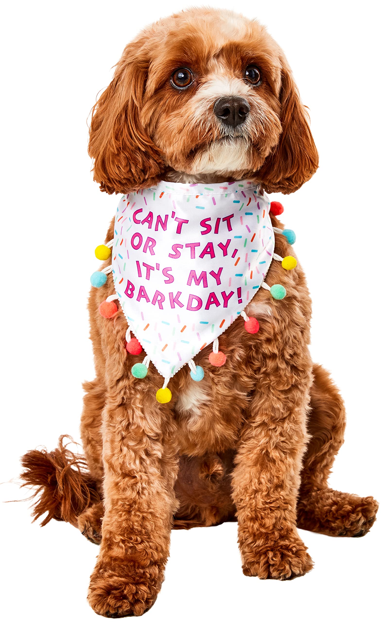 Rubie's Pet Sprinkle Birthday Bandana, As Shown, Medium/Large