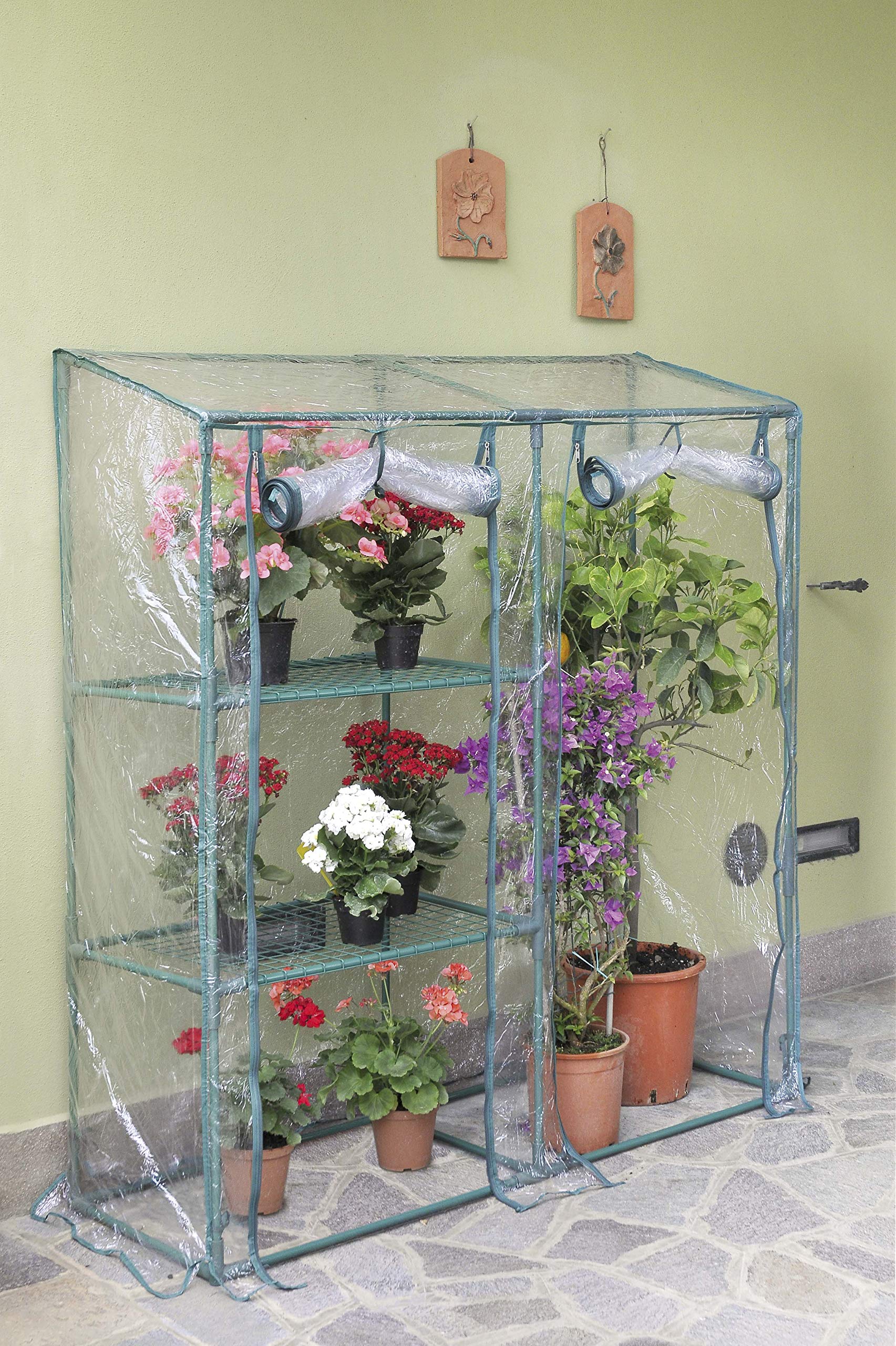 Verdemax 2636 Serre Buganvillea Big 3 Piante 143 x 48 x 152 cm