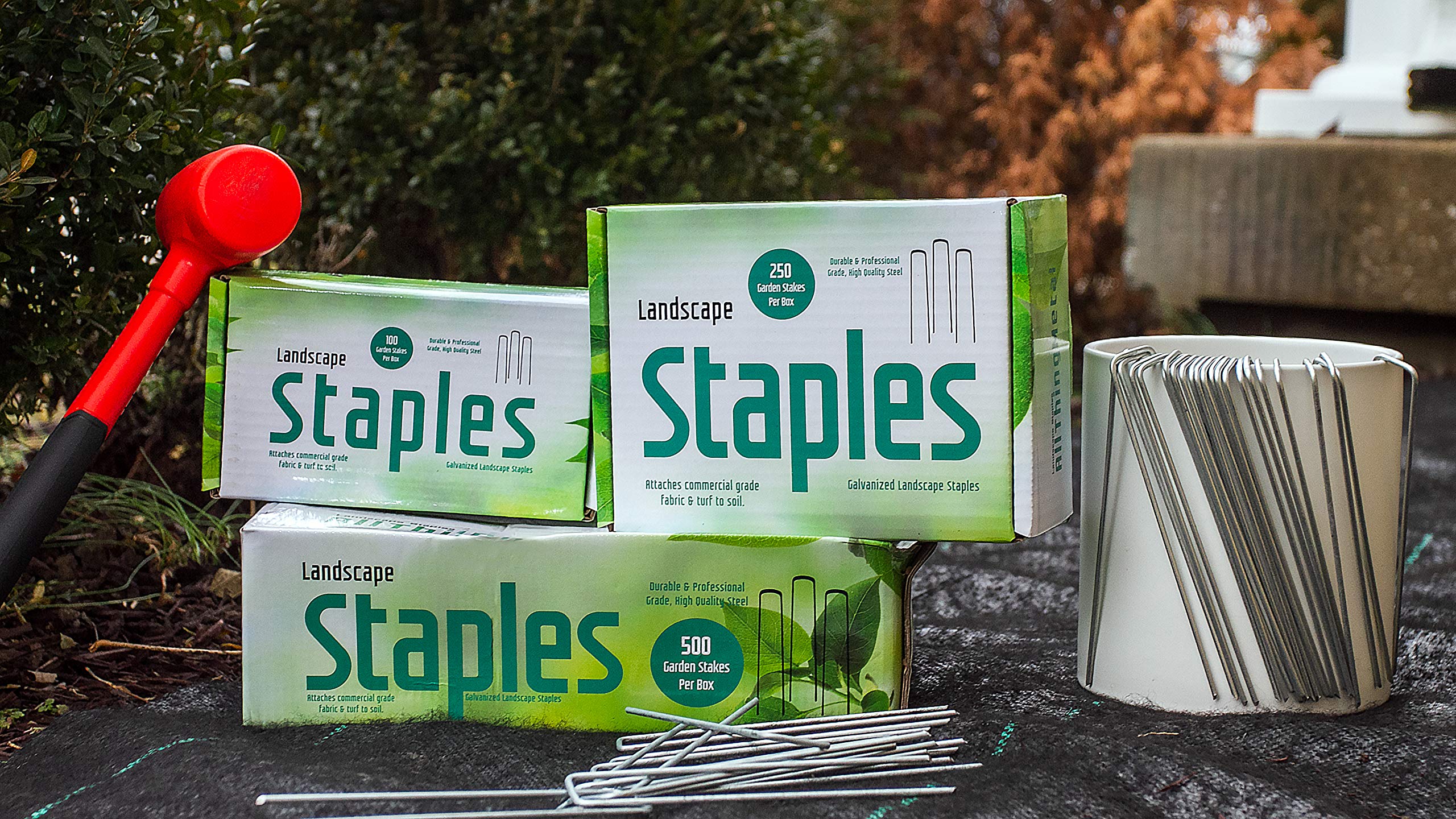 Estacas De Jardín Galvanizadas Grapas De Jardinería: Estaca De Césped Y Valla De 6 Pulgadas - Suministros De Jardinería Resistentes A La Oxidación |250-Trabajo Extra Pesado