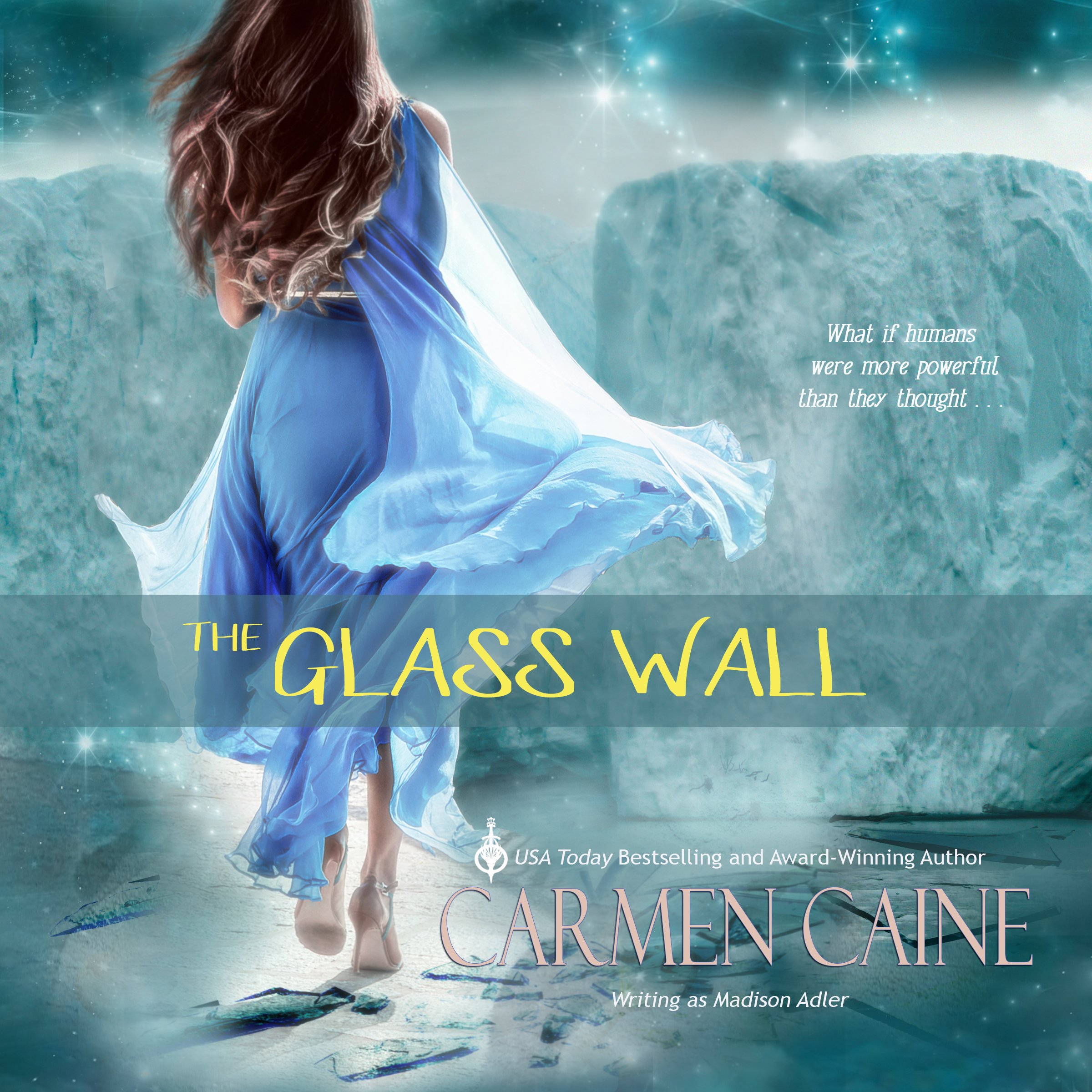 Cover art for The Glass Wall