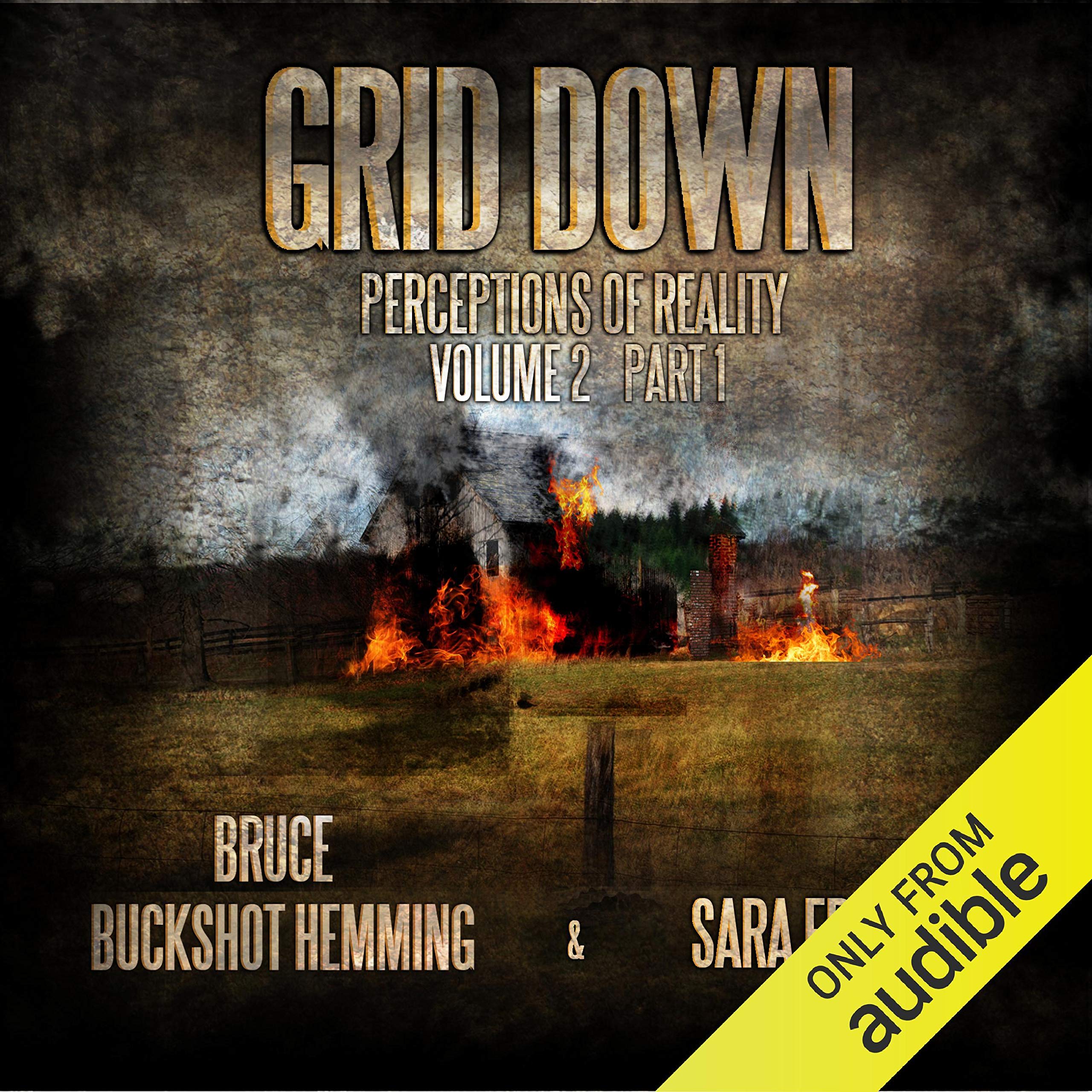 Cover art for Grid Down Perceptions of Reality: Volume 2, Book 1