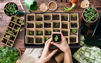 WY8 Seed Trays Starter Kit, Include 100 Biodegradable Pots for Seedlings, 3 Plastic Growing Trays with 3 Crystal Lids, 50 Plant Labels and 3 Plant Tools All you need for Outdoor Indoor Gardening