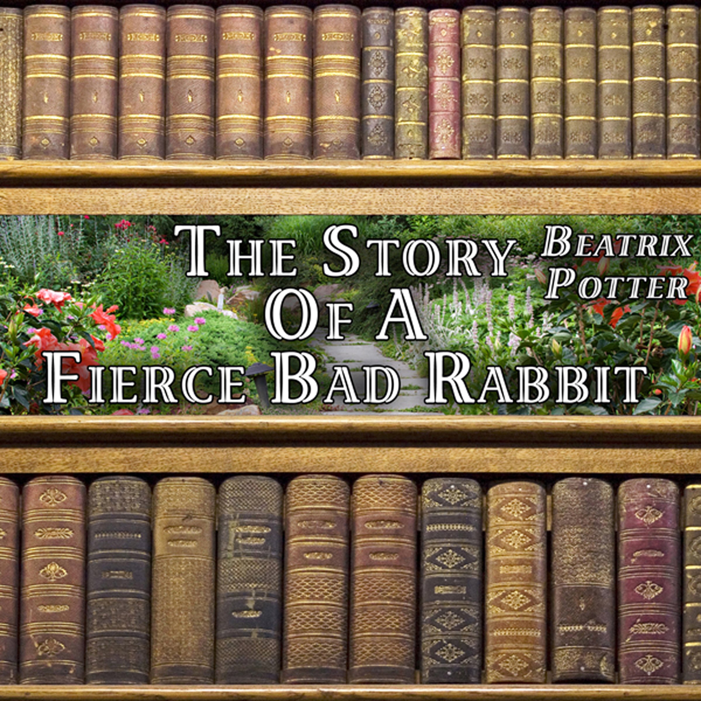 Cover art for The Story of a Fierce Bad Rabbit