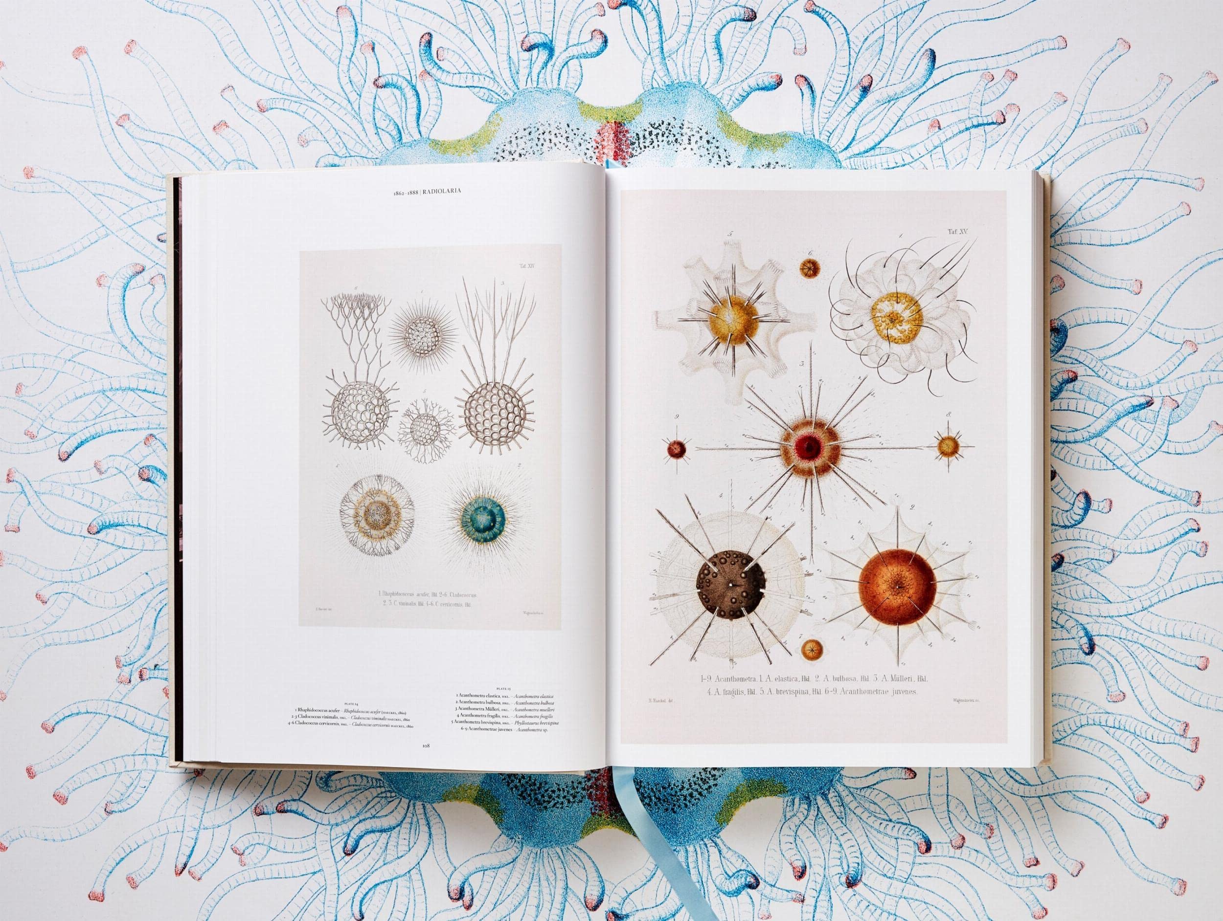 The Art and Science of Ernst Haeckel: The Complete Plates
