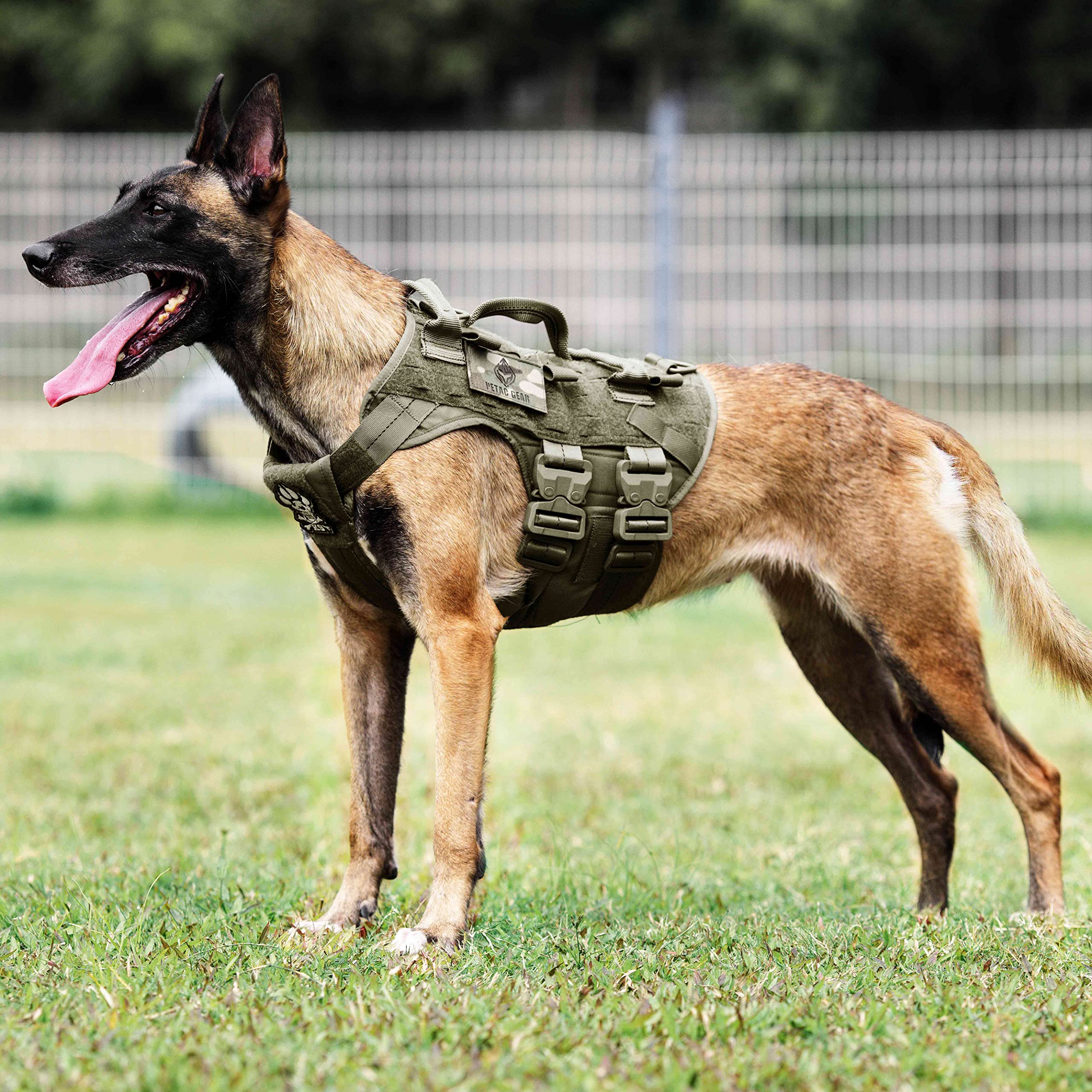 Amazon Com Petac Gear 戰術狗胸背帶k9 軍犬訓練胸背帶可調式警犬工作molle 背心適用於大型犬mals Gsd 實驗室 寵物用品 Amazon Com Petac Gear 戰術狗胸背帶k9 軍犬訓練胸背帶可調式警犬工作molle 背心適用於大型犬mals Gsd 實驗室 寵物用品