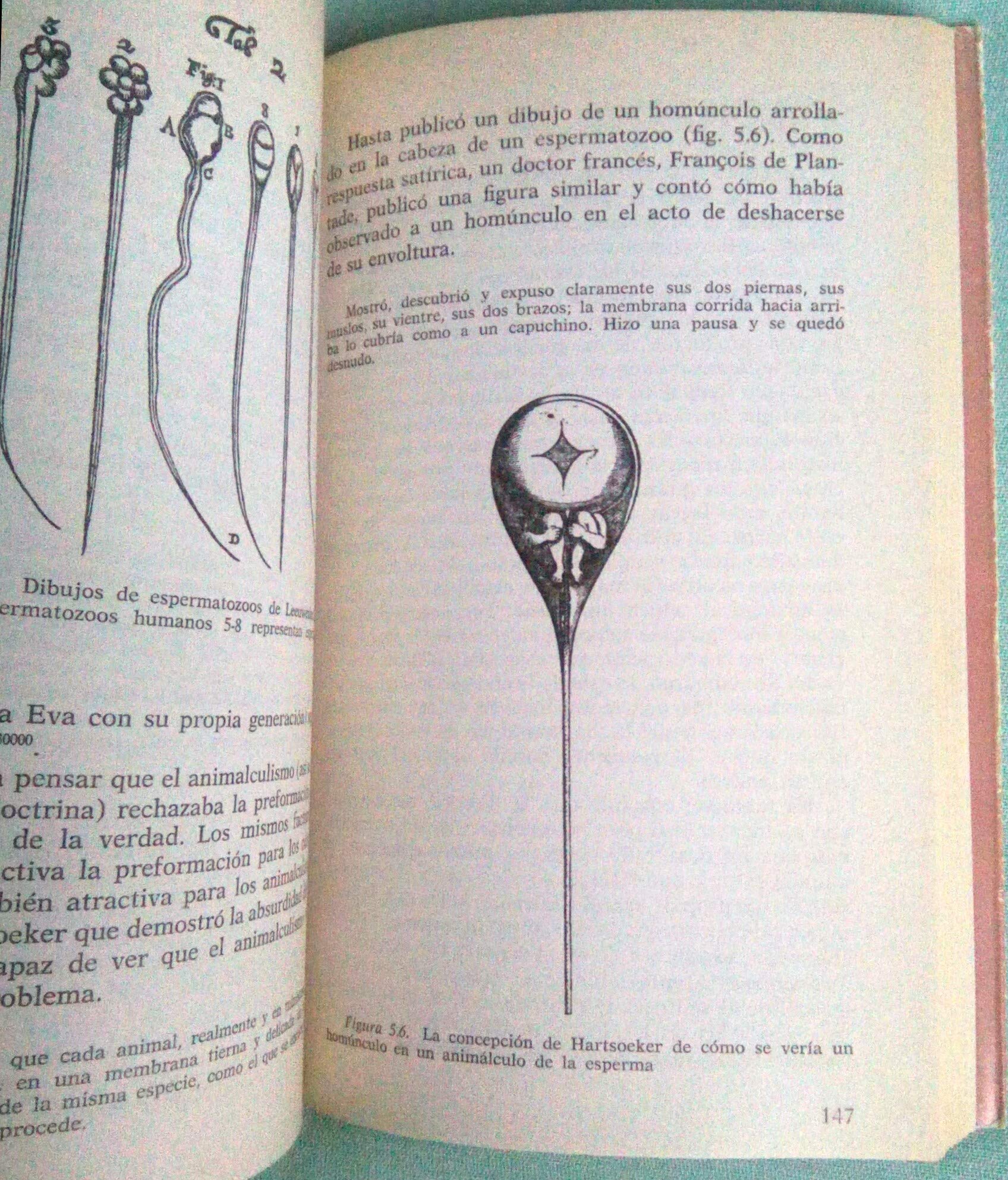 La construcción de la ciencia moderna: mecanismos y mecánica