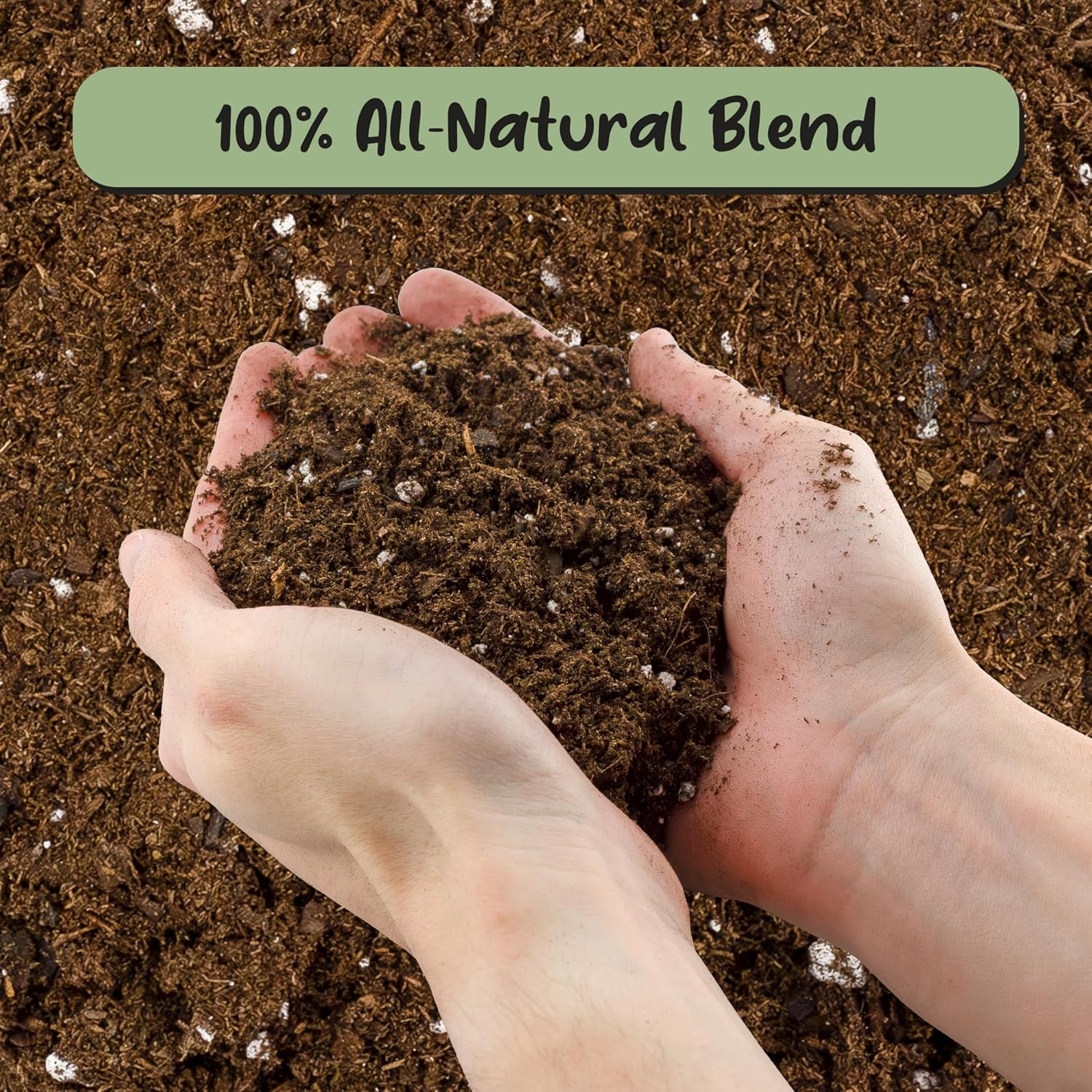 Soil Sunrise Premium Fiddle Leaf Fig Tree Soil (12 Quarts) - Expert Formula for Vibrant Growth - Nutrient-Rich Potting Mix,Specifically Designed for Healthy Indoor,Outdoor,& Potted Fiddle Fig Plants