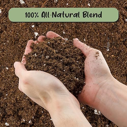 Miniatura 3 de Suelo de higuera de hoja de violín prémium (12 cuartos de galón), fórmula experta para un crecimiento vibrante, mezcla para macetas rica