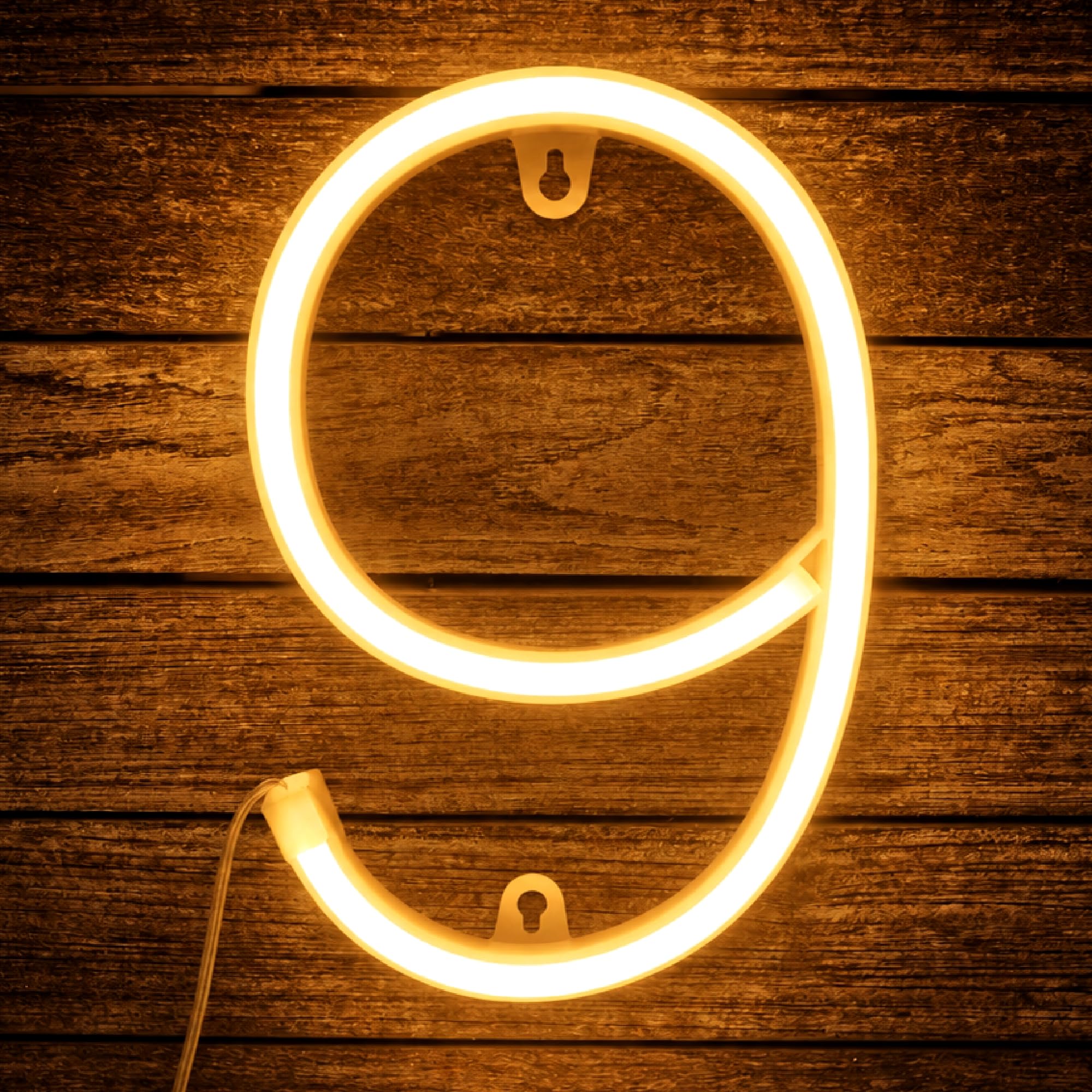 Neon Number Light, Light up Numbers 9, 22cm LED Number Light for Birthday Party Anniversary Christmas Wedding