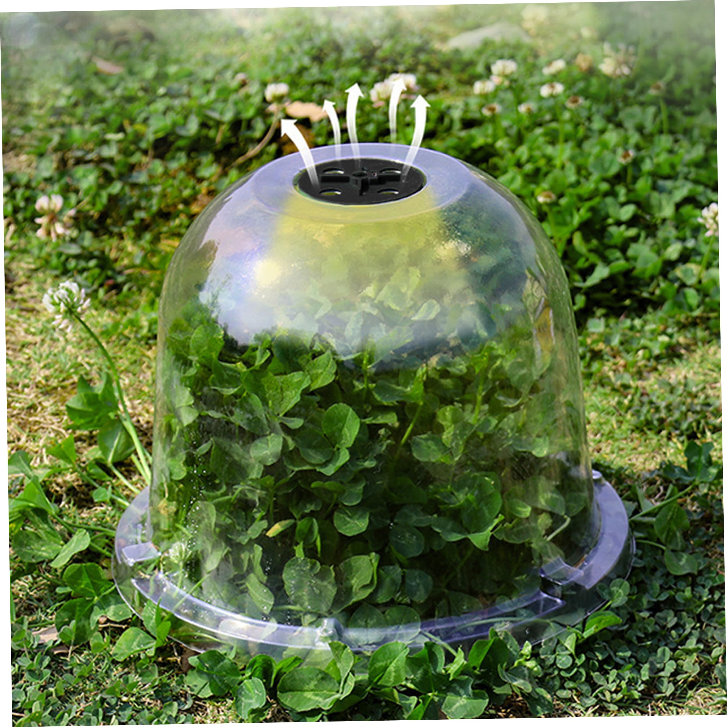 Cloche de Potager 12 pièces PVC réutilisable avec évent réglable Transparente