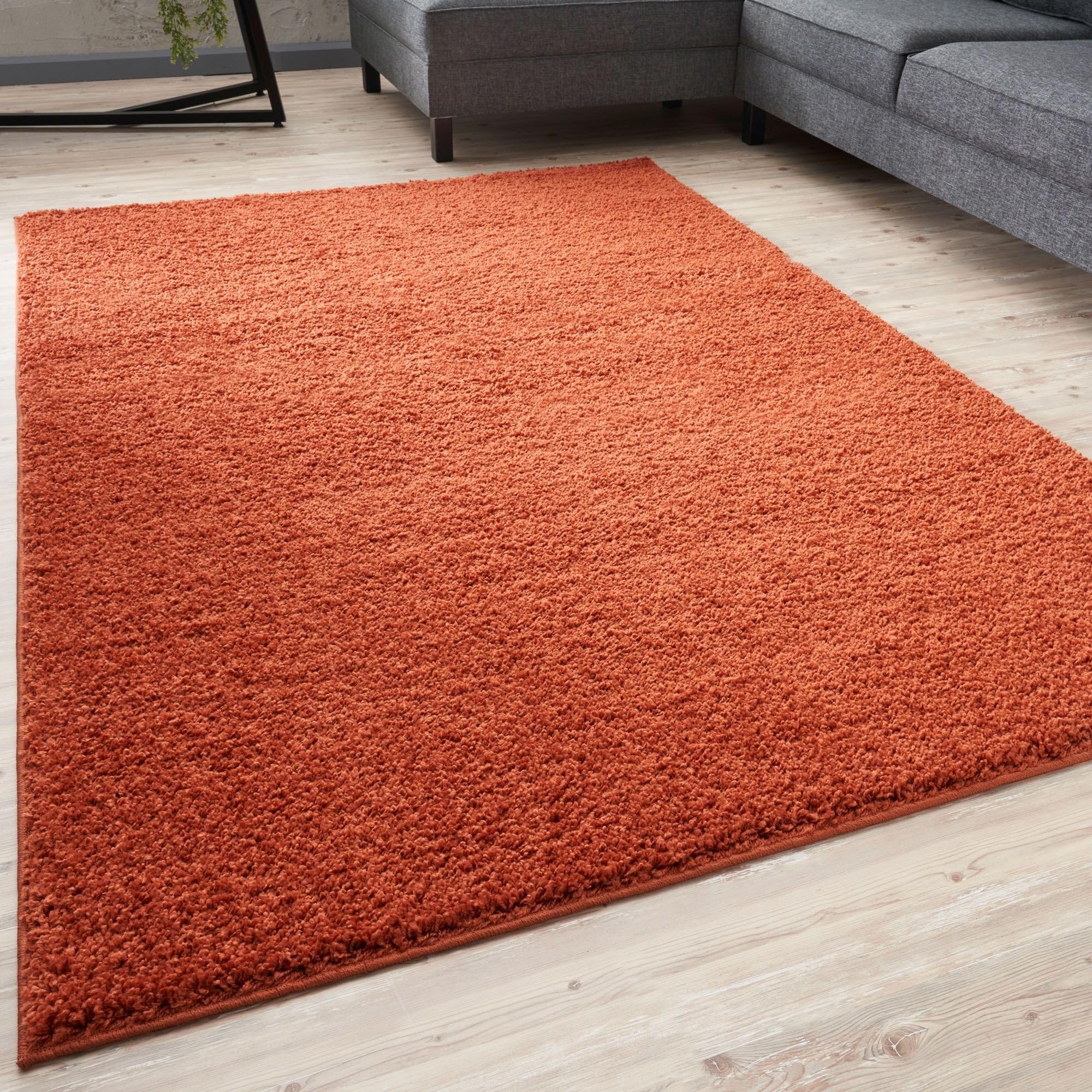 THE RUGS Living Room Rug - Shaggy Soft And Elegant Carpets For The Bedrooms And Kitchen, Easy To Clean, Many Different Sizes (240x340 cm, Terra)