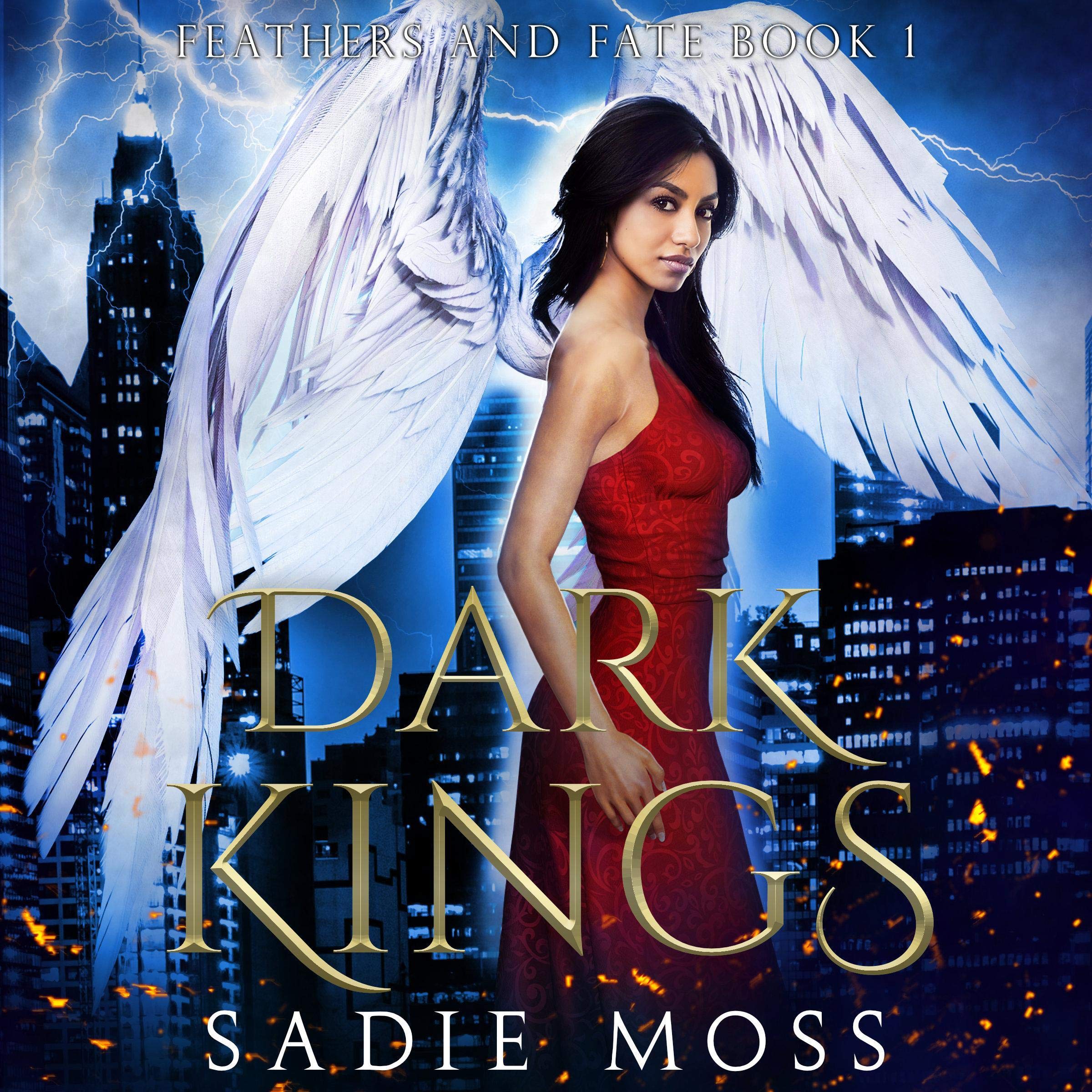 Dark Kings: A Reverse Harem Paranormal Romance