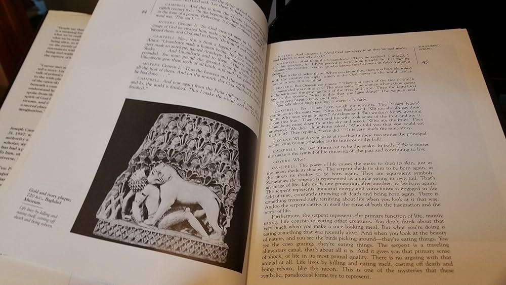 洋書 Myths of Power Amazon | The Power of Myth | Campbell, Joseph, Moyers, Bill