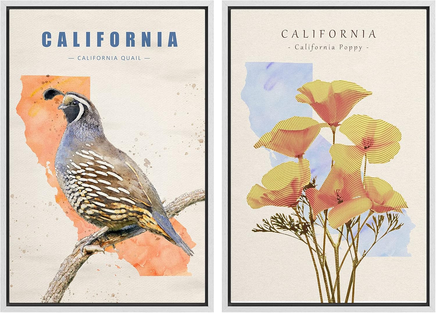 IDEA4WALL Framed Canvas Print Wall Art California Quail & Poppy Duo Birds Flower Watercolor Realism Rustic Colorful Multicolor Warm for Living Room, Bedroom, Office - 24"x36"x2 Natural