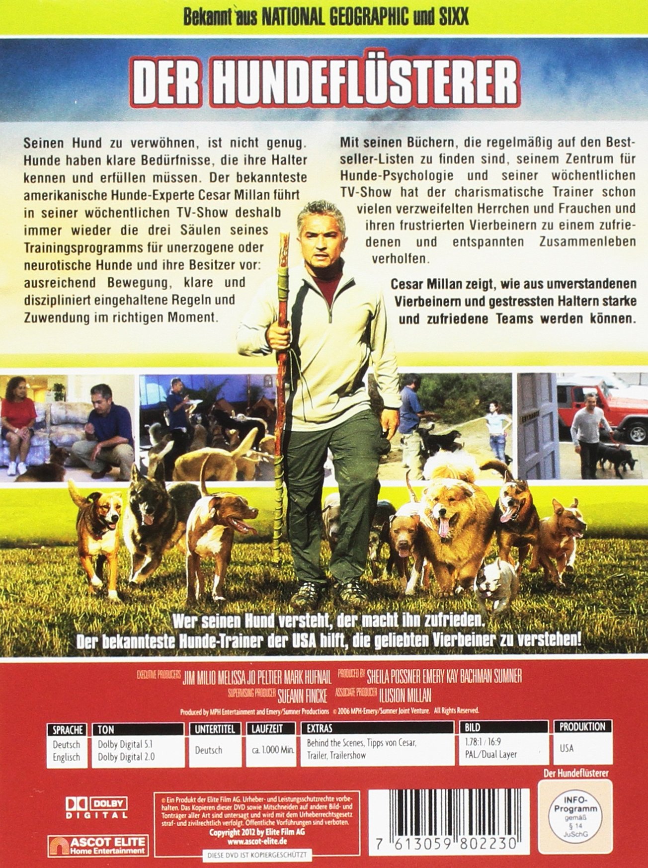 Der Hundeflüsterer - Staffel 1 [6 DVDs]