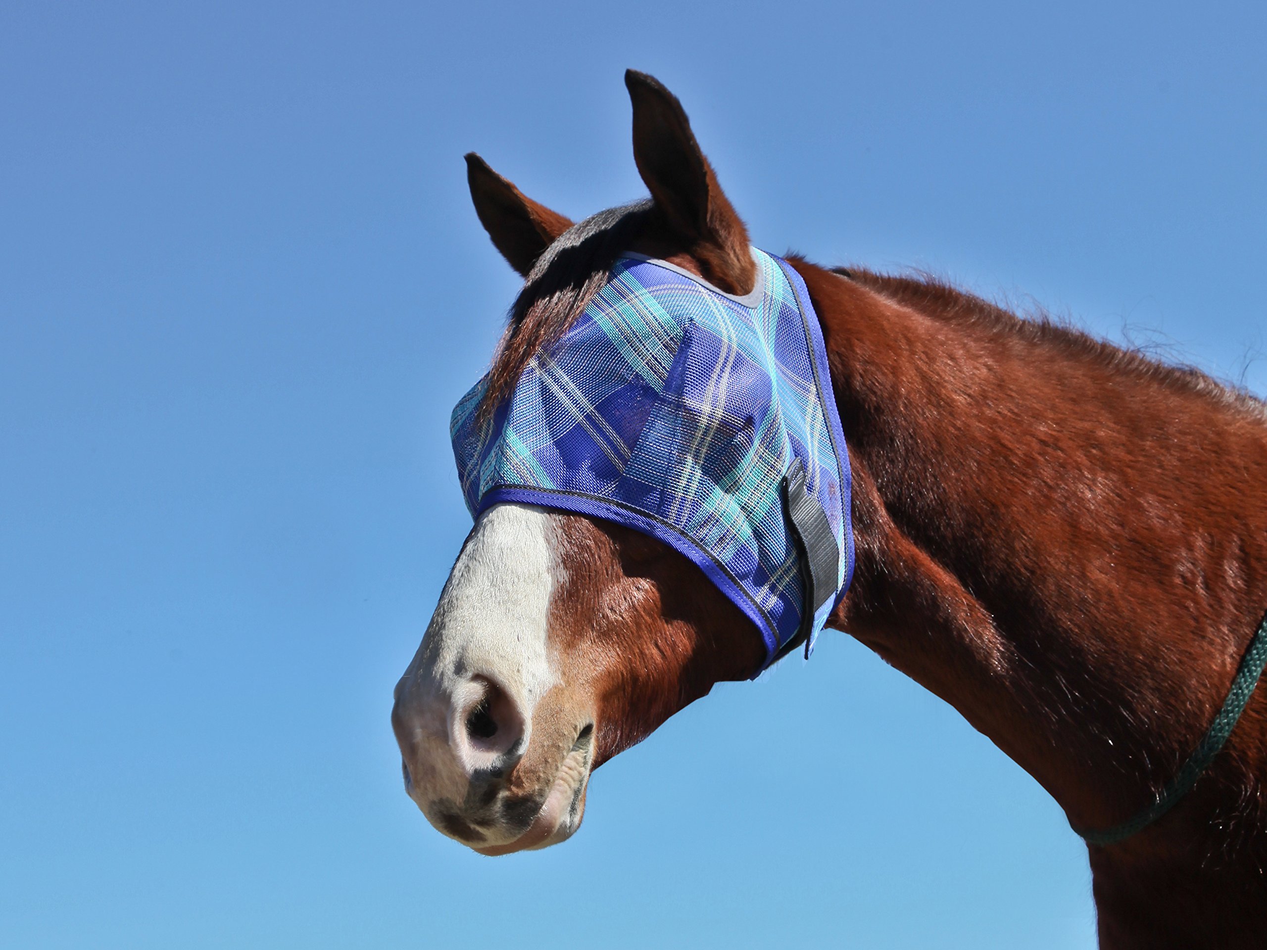 fly-mask-patterns-lena-patterns