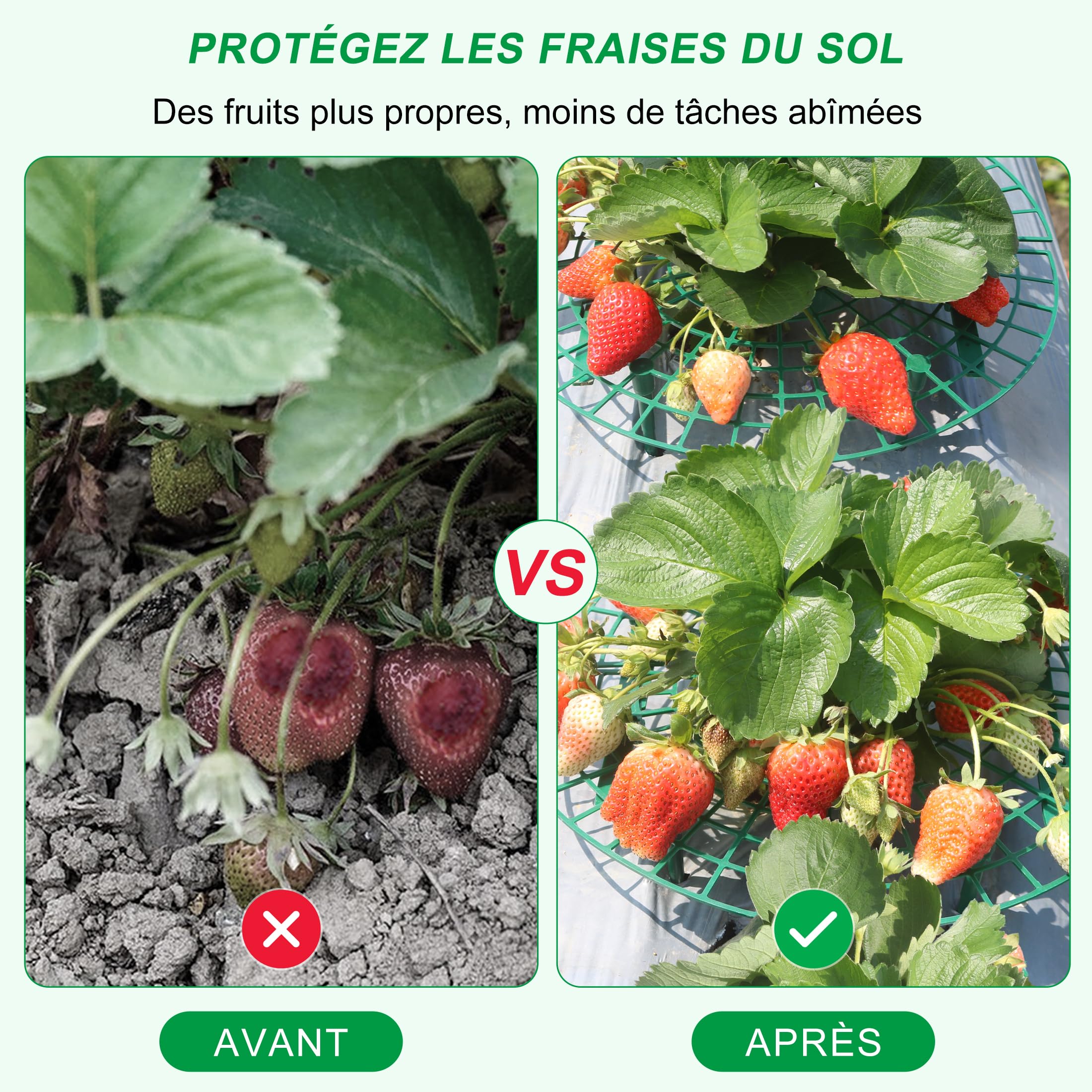 Support pour Plants de Fraises CNNIK, 10 Supports Ronds en Paquet pour Garder Les Baies Hors du Sol, Supports de Jardin réutilisables pour la Culture de Fraises en Plein air