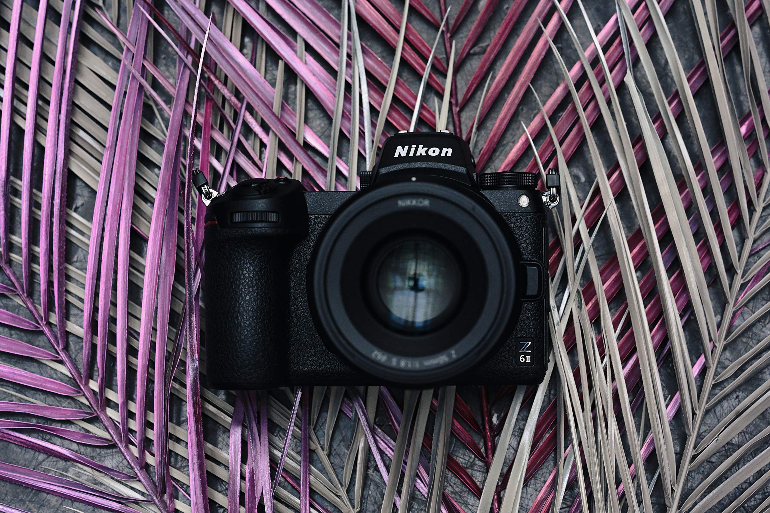 Nikon Z 6II FXFormat Mirrorless Camera Body w/NIKKOR...B08L5ZGKCZ