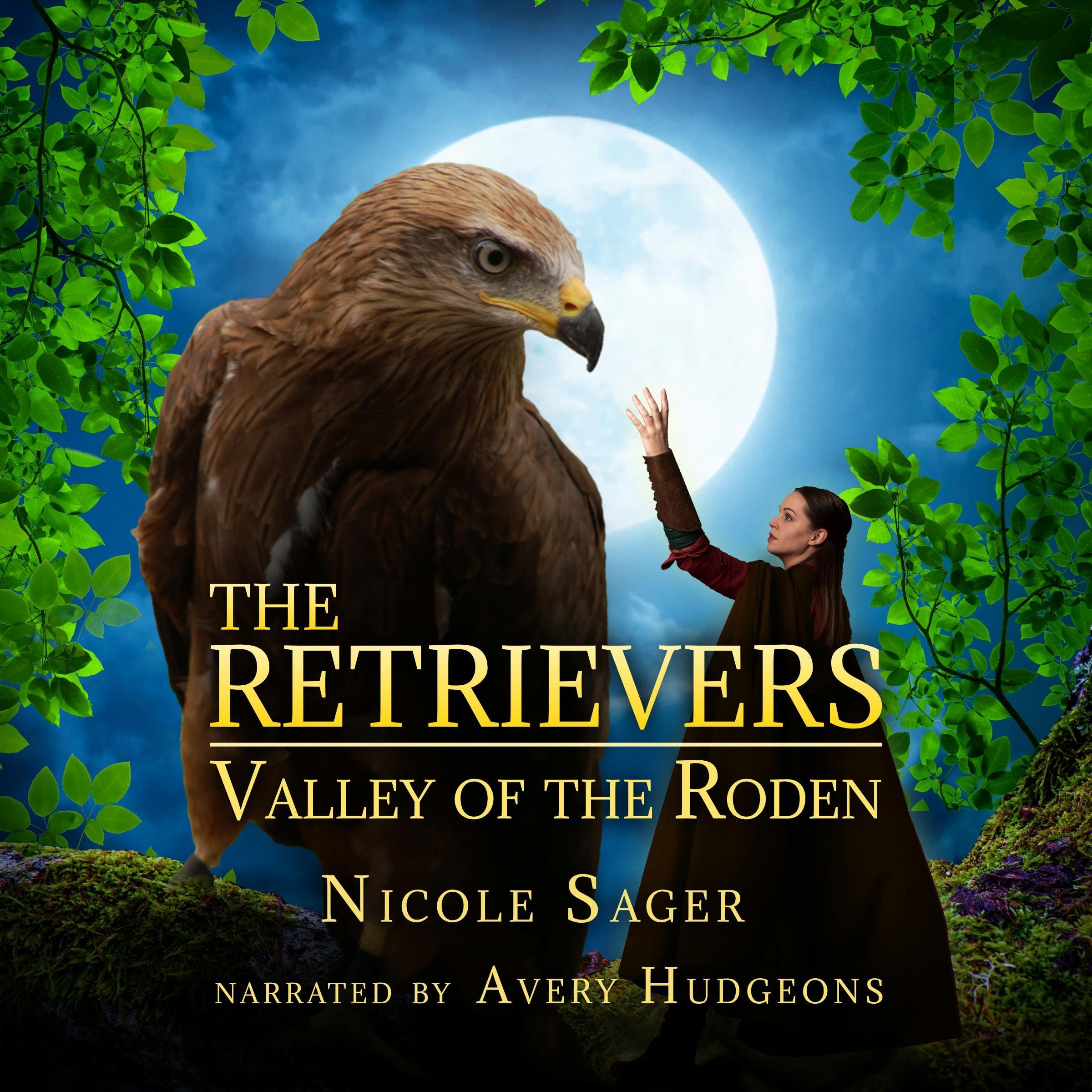 Cover art for The Retrievers