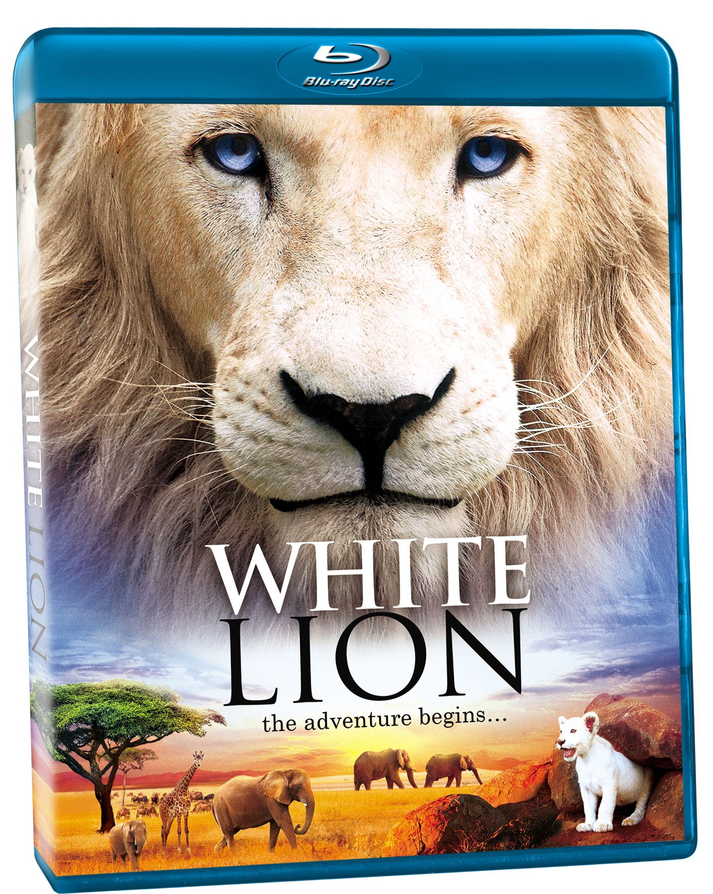 Amazon.com: White Lion