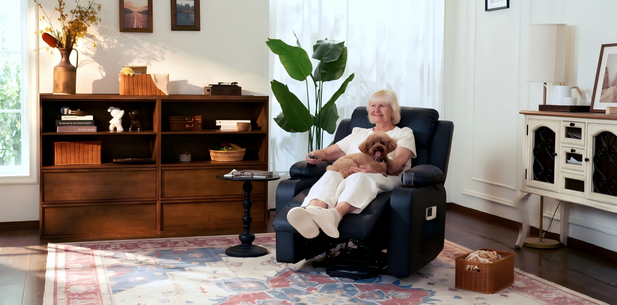 Amazon.com: FLEXISPOT XL31 Power Lift Recliner for Elderly