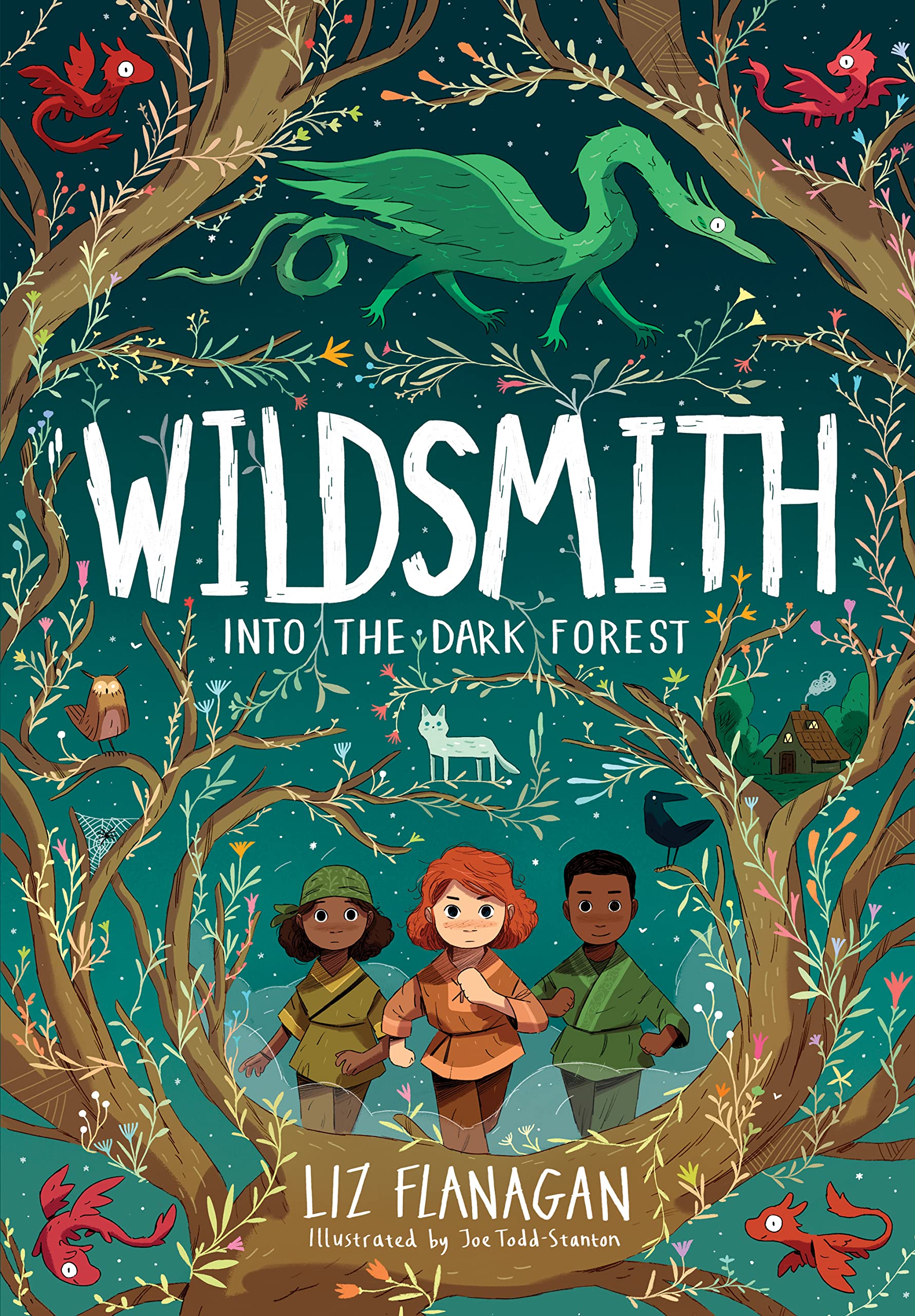 Wildsmith: Into the Dark Forest (The Wildsmith #1) : Flanagan, Liz,  Todd-Stanton, Joe: Amazon.co.uk: Books