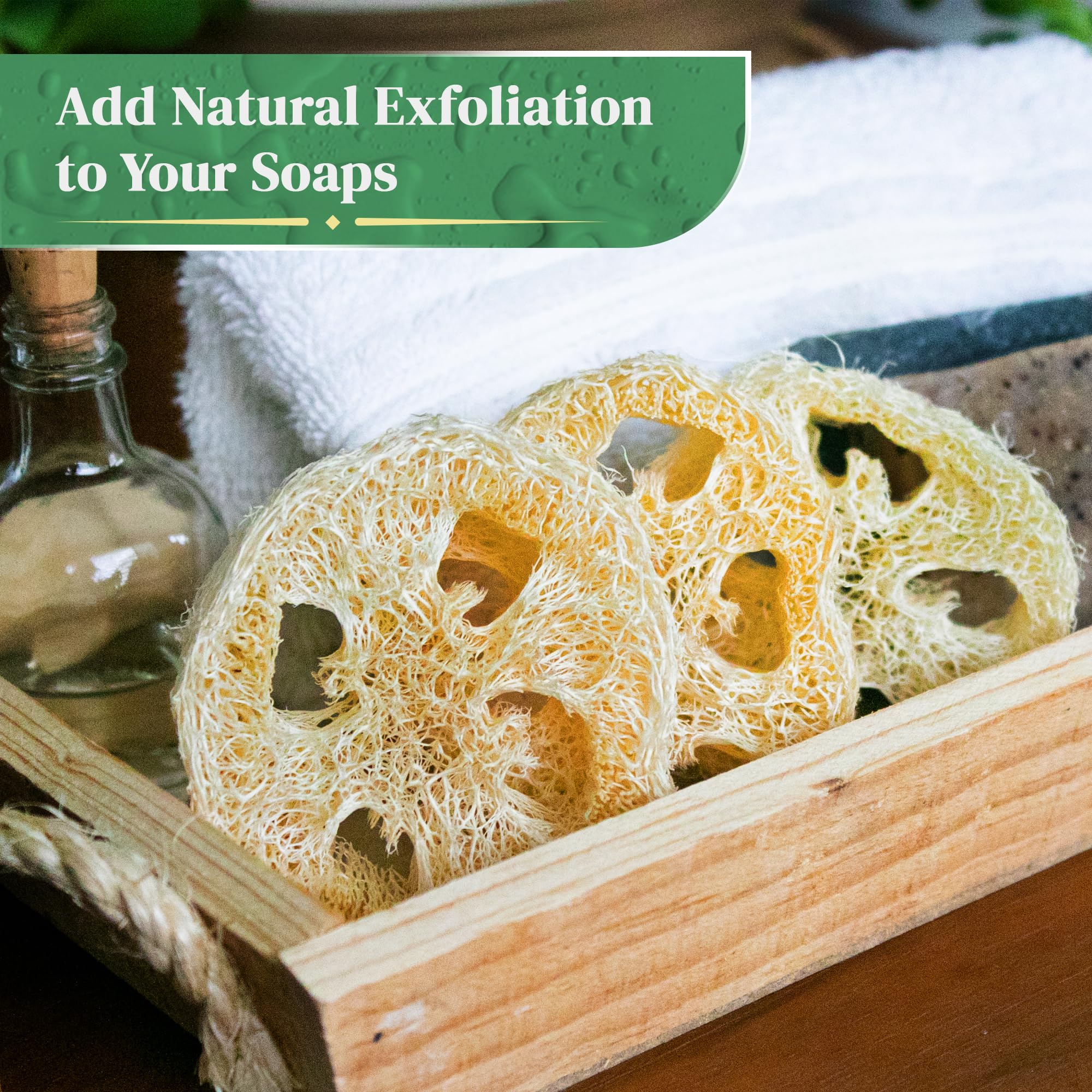 Natural Loofah Slices for Soap Making, 20-Pack