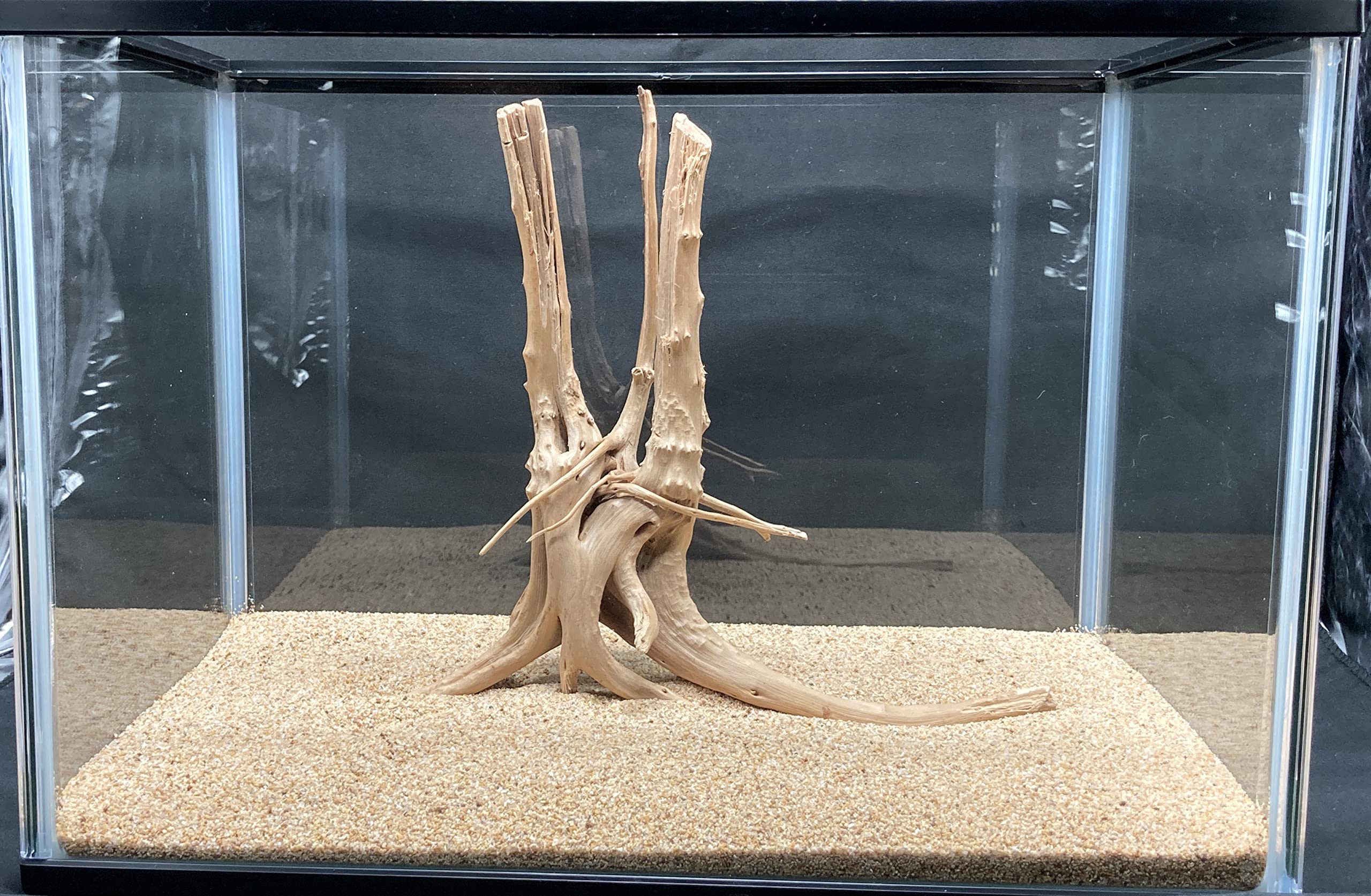 Amazon.co.jp: 【未煮込み】25～30cm流木 1個 45～90cm