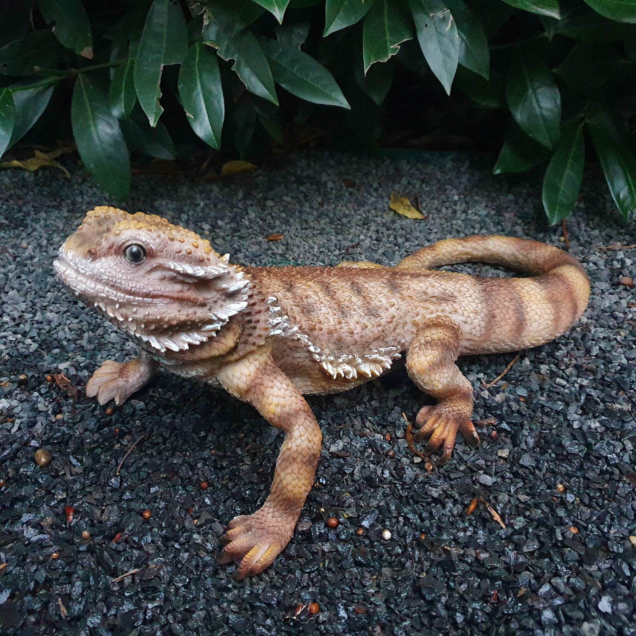 Gartenfigur Bartagame 34 cm braun bodennah – wetterfeste Reptilfigur flachliegend, Echse Statue Garten Deko