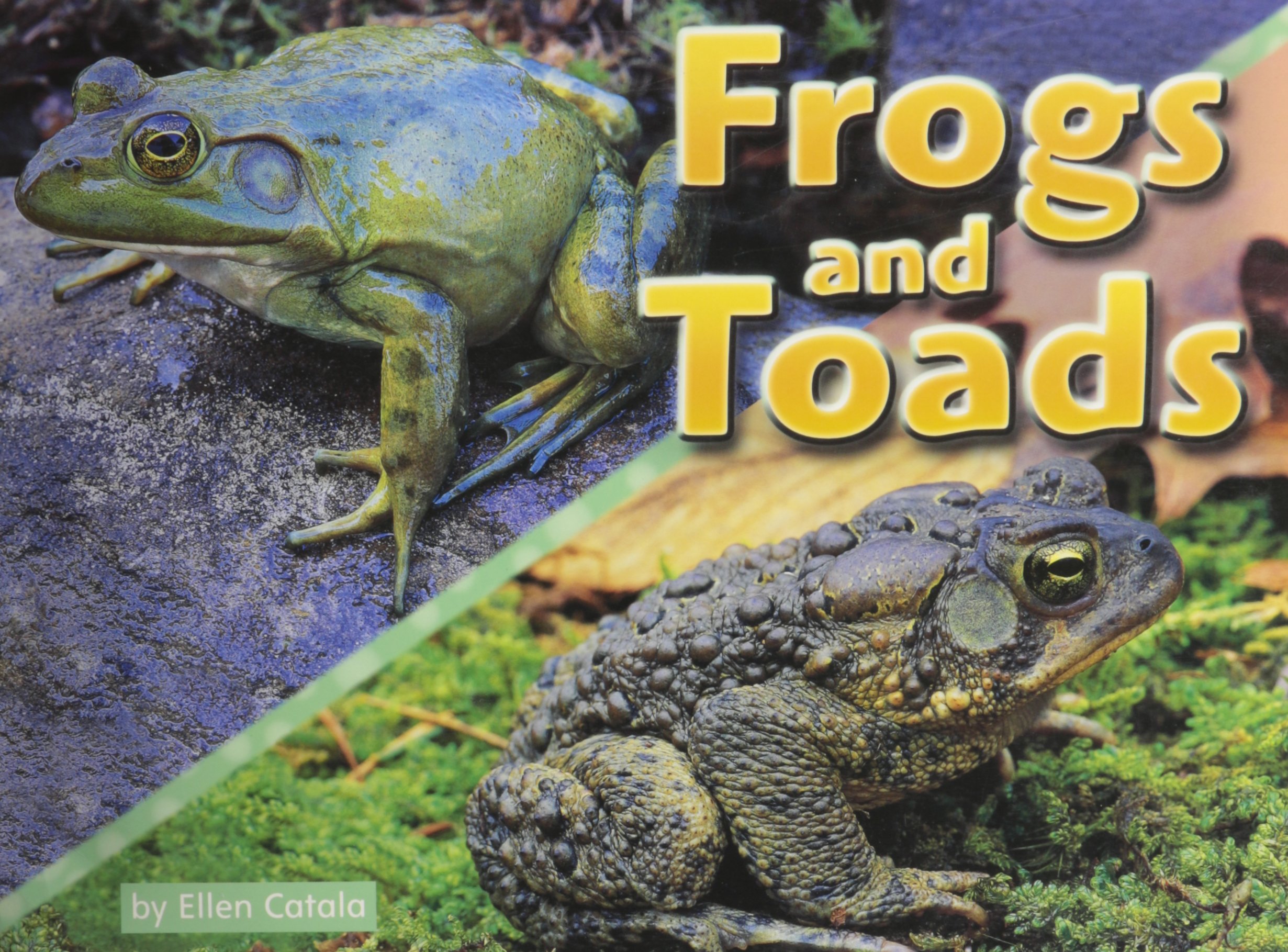Steck-Vaughn Shutterbug Books: Leveled Reader Grades K - 1 Frogs and Toads, Science
