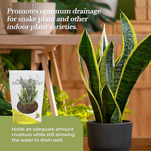 Miniatura 4 de Suelo profesional para plantas de serpientes  Grande 2.2 cuartos de galón listo para usar para plantas de serpientes  Musgo de turba, fibra de coco,