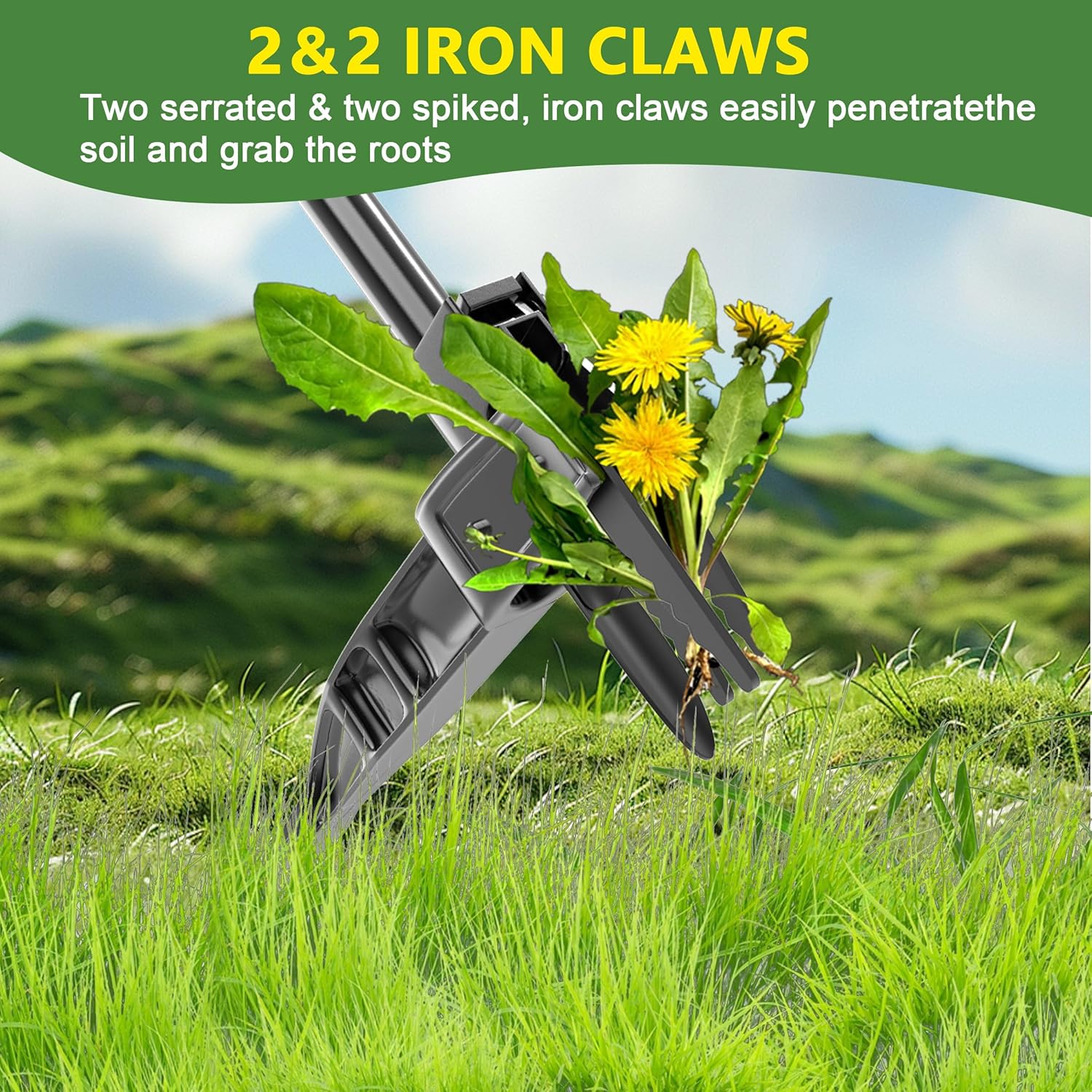 ZHENHAN Weed Puller Tool,43" Iron Stand-Up - No Bend Push-Pull Weeding Tool with Foot Pedal, Extra Long Handle Dandelion Remover for Lawn & Garden, Heavy Duty Root Extraction Tool