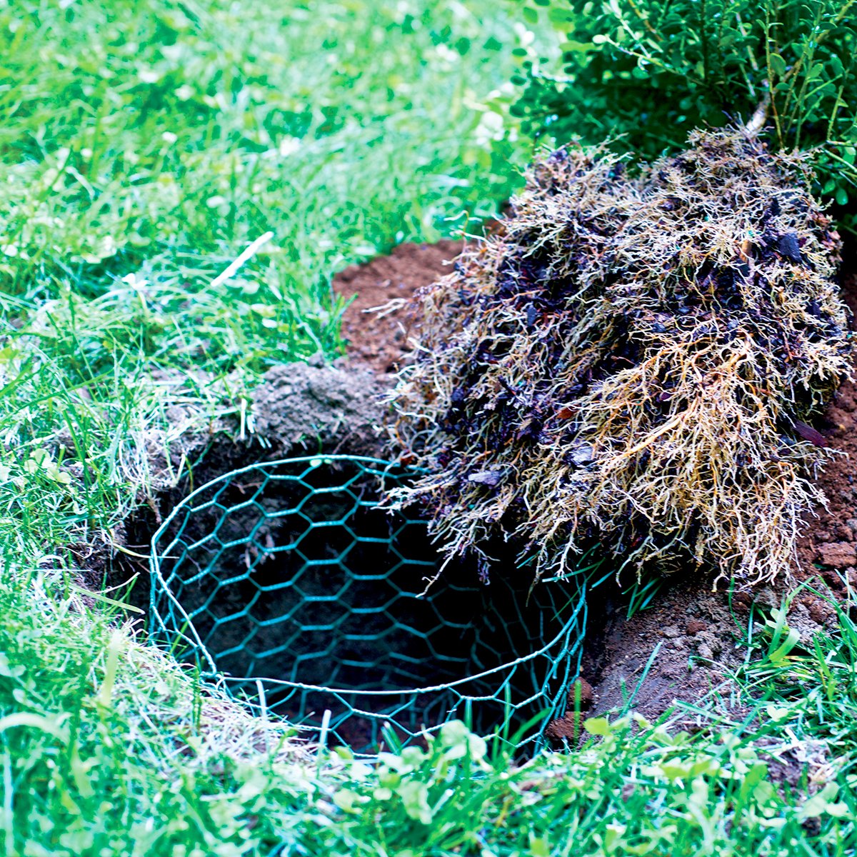 Amazon.com : Garden Zone 20-gauge 1-inch Green Vinyl Hex Netting