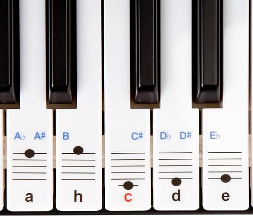 durchsichtige  ablA sbare Keysies-Aufkleber fA r die Klavier- und Keyboardtastatur a   mit praktischer Anleitung 
