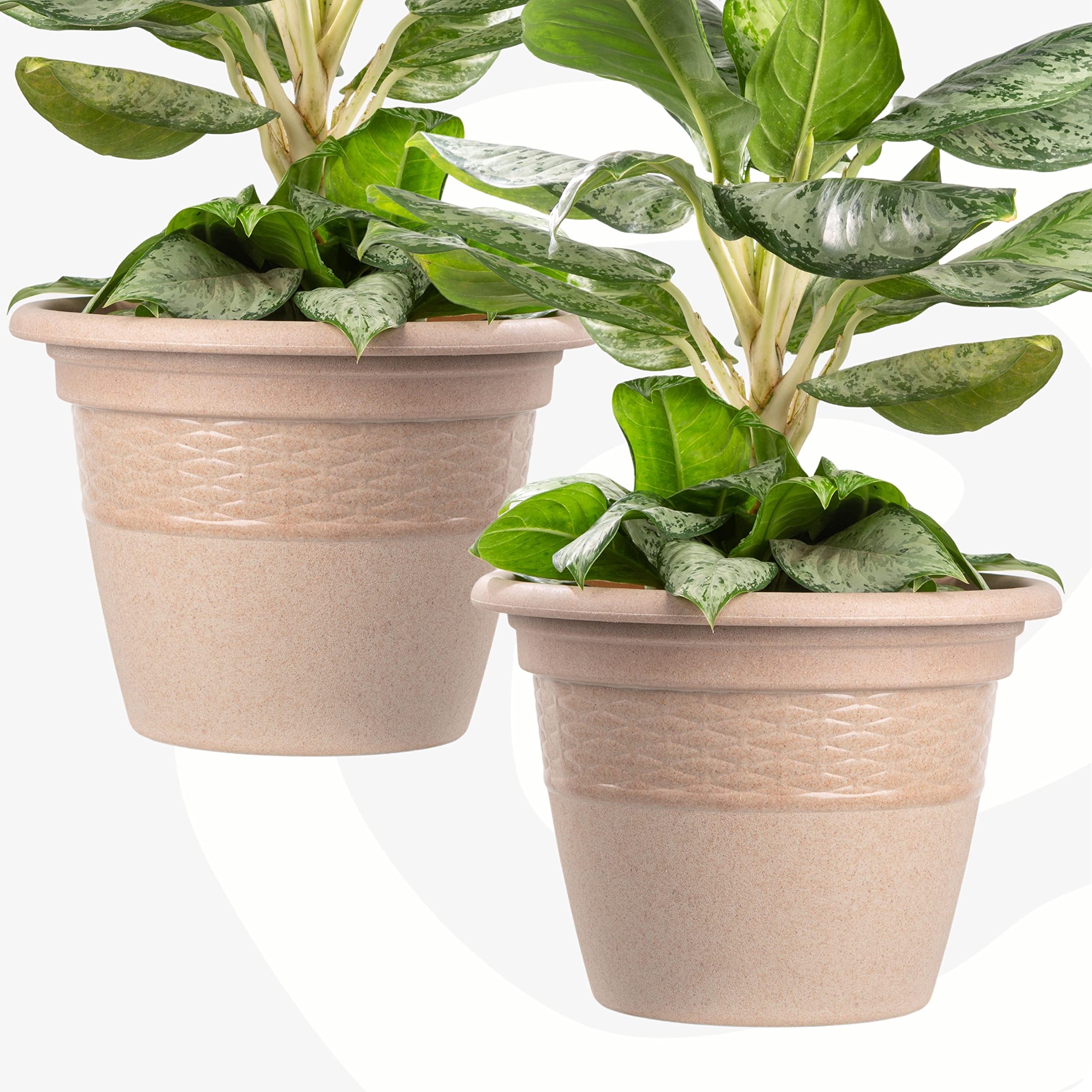 Eha Set of 2 Earth-Friendly 10" Verdant Planters | Bamboo Based | UV Protected | Drainage Hole | Pots for Indoor, Outdoor, Balcony & Garden | Natural Sand Castle (B0BCGQ3961) Amazon Price History, Amazon Price Tracker
