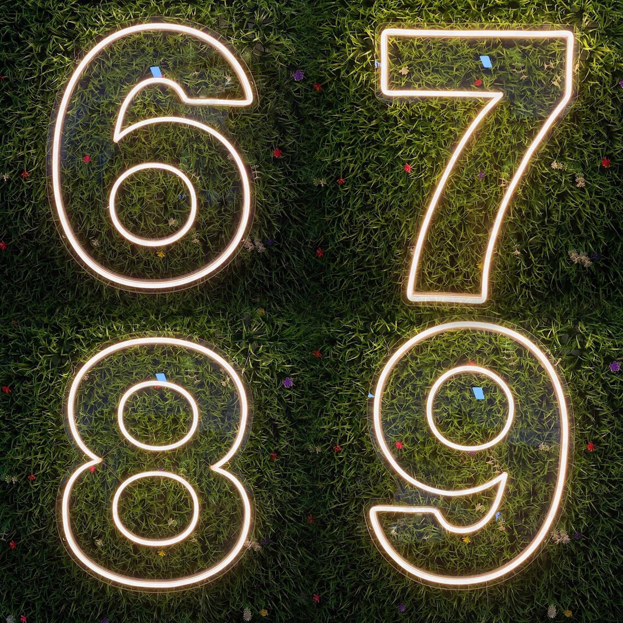 Neon Sign Number Custom,Birthday Party Neon Light, Number