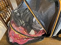 Review Image by Steffanie Steffanie