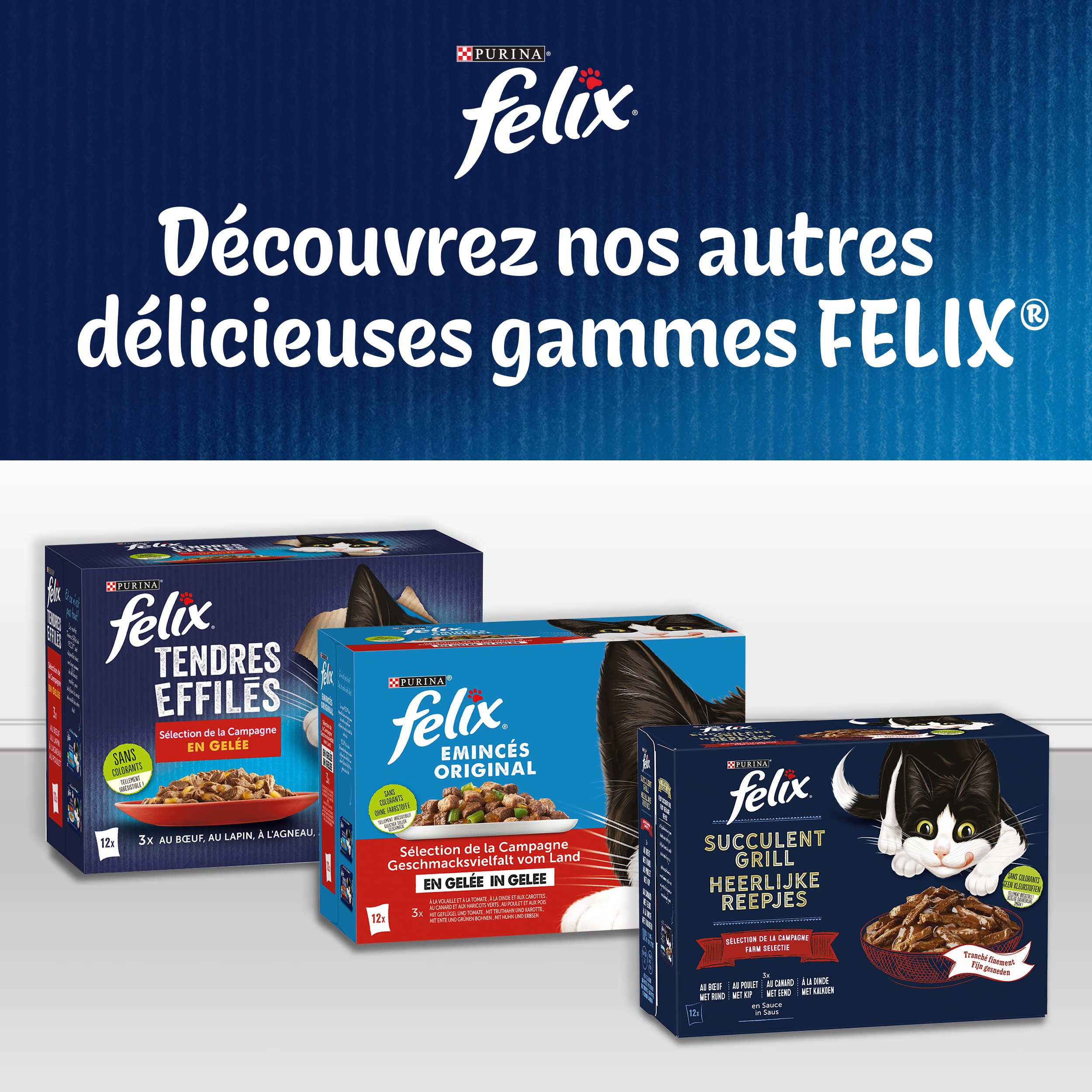 FELIX | Teneri sfibrati | Gatto adulto | In gelatina | Alimentazione completa | Selezione mista: manzo, pollo, tonno e salmone | Bustine fresche, confezione da 4 (24 x 85 g)