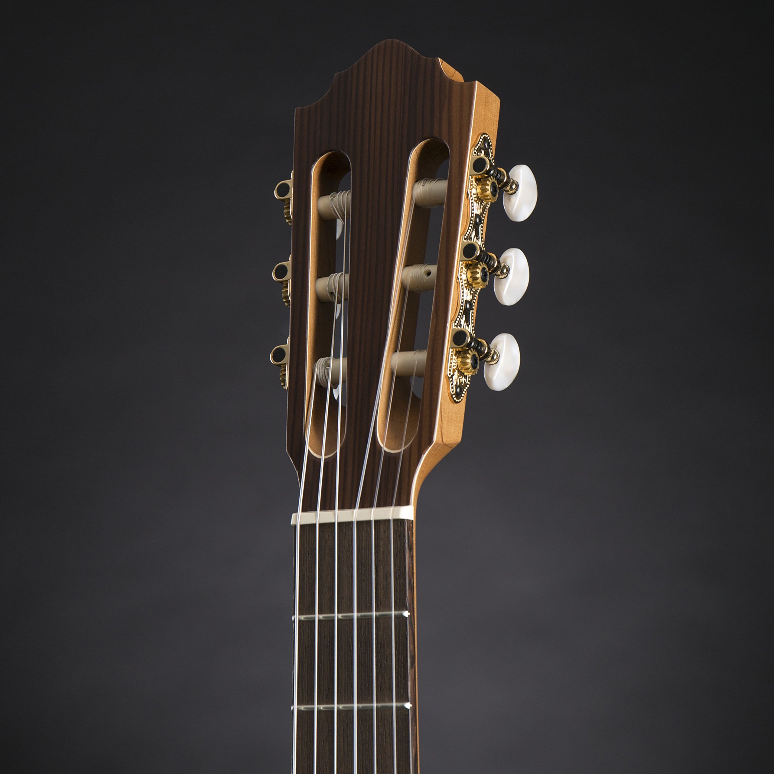 HGL 5 Guitarra de concierto