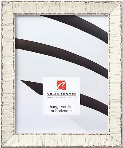 Craig Frames Marea, Marco de fotos de corteza de abedul blanco roto envejecido, 16 x 20 pulgadas