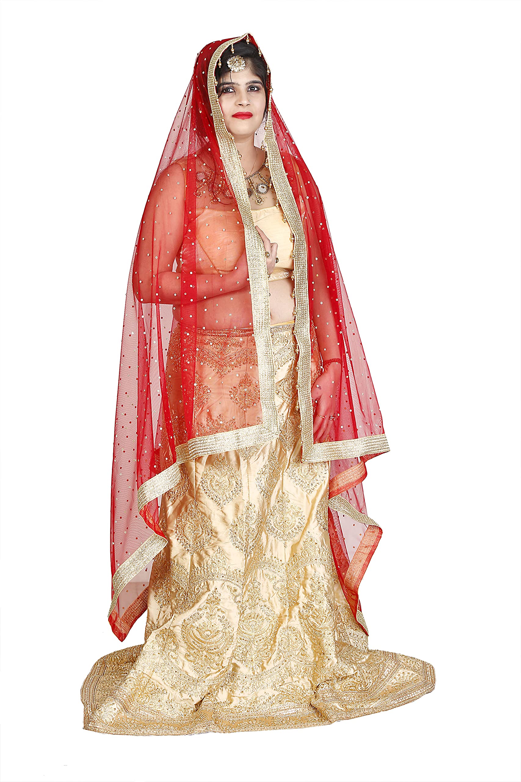 POVAMIWomen's Red Net Embroidered Full Size Dupatta With Zari Work For Wedding Bridal,All over Embroidery Chunari with Buti all over (PV-RN-807)