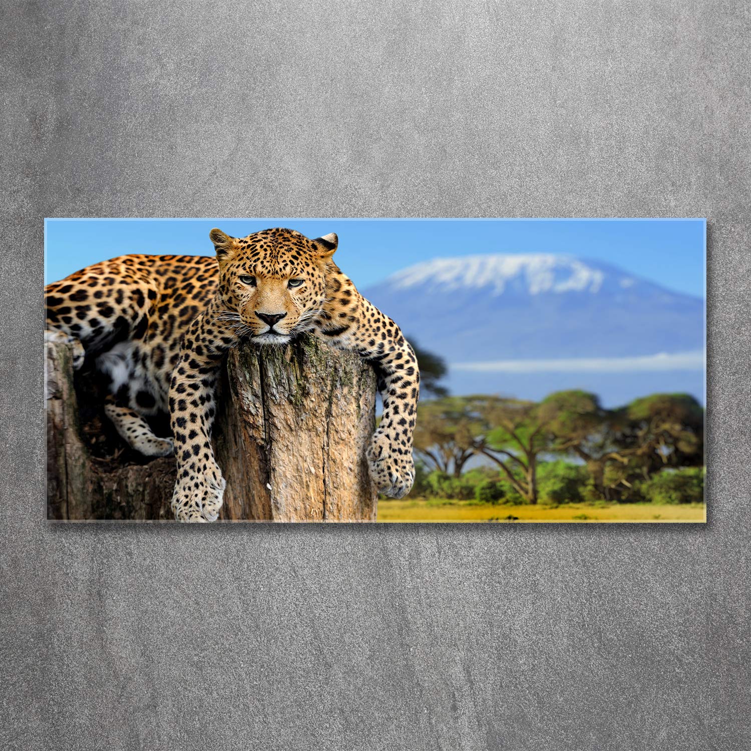 MuchoWow® Glasschilderij 120x60 cm - Schilderij acrylglas - Italië