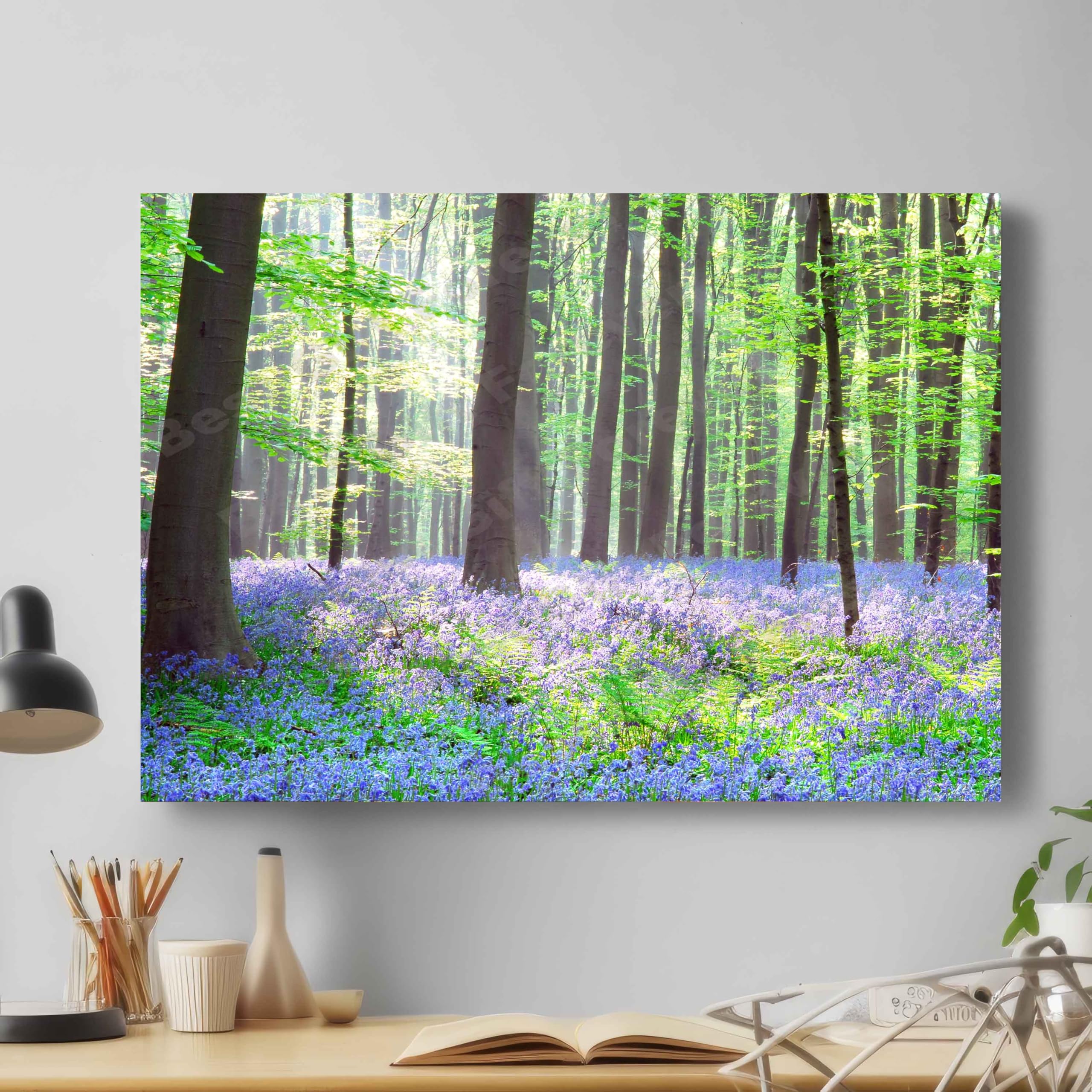 Bluebells Nature Bluebell Forest Tree Flower Sunlight Canvas Wall Art Picture Print - Gift For Modern Family Home Office Hotel School Club Pub Decoration (S: 46cm X 31cm)