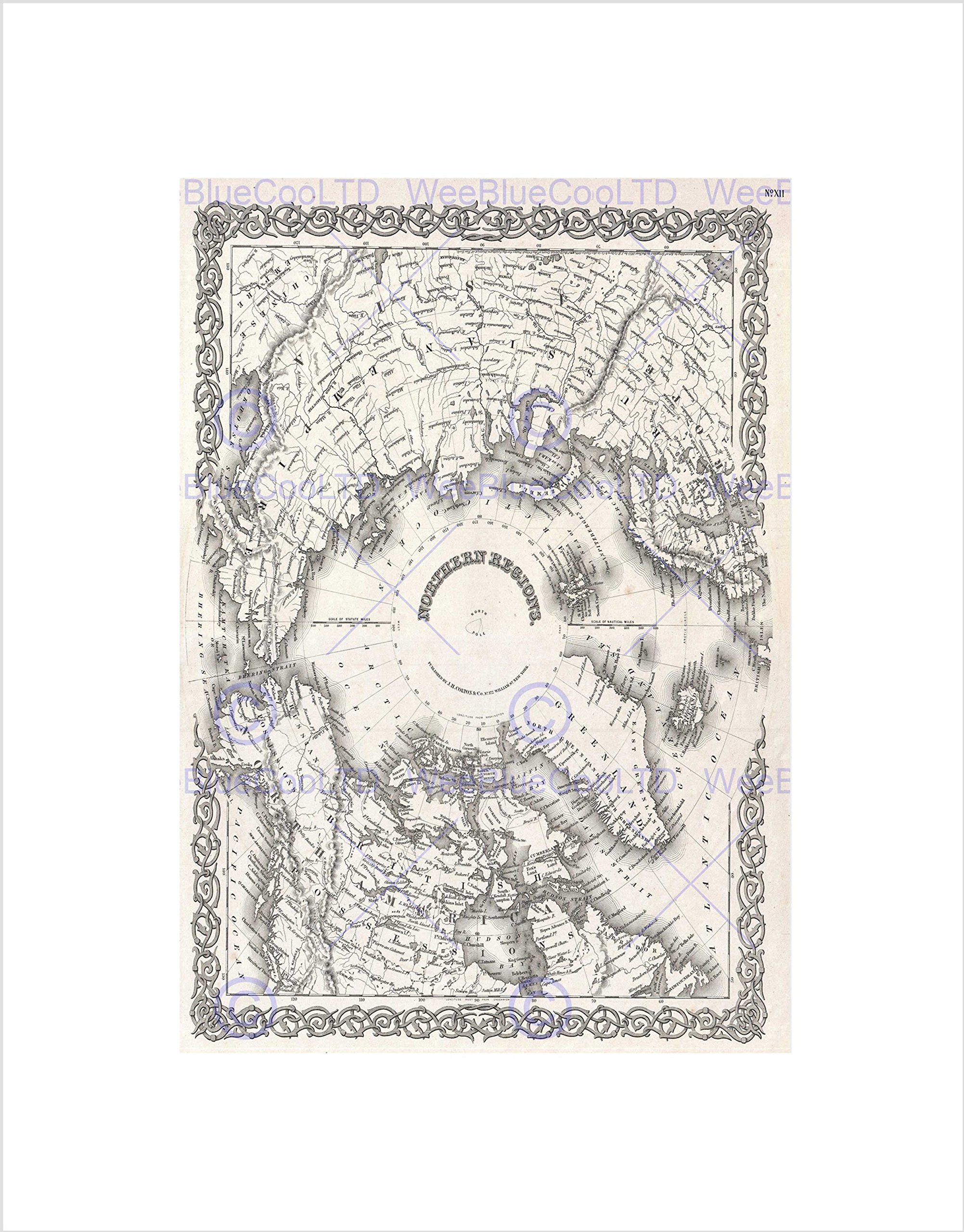 Wee Blue Coo 1855 Colton Map The Arctic Or North Pole Mount Wall Art Print
